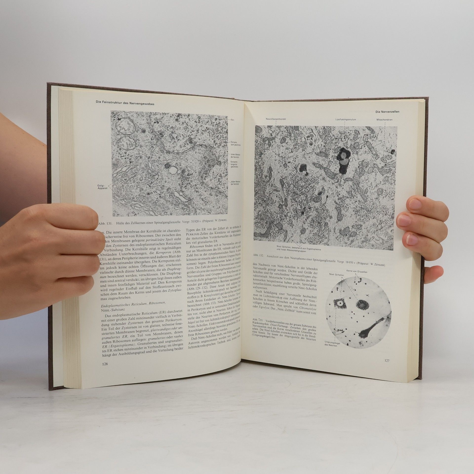Kurt Goerttler Lehrbuch der Anatomie des Menschen