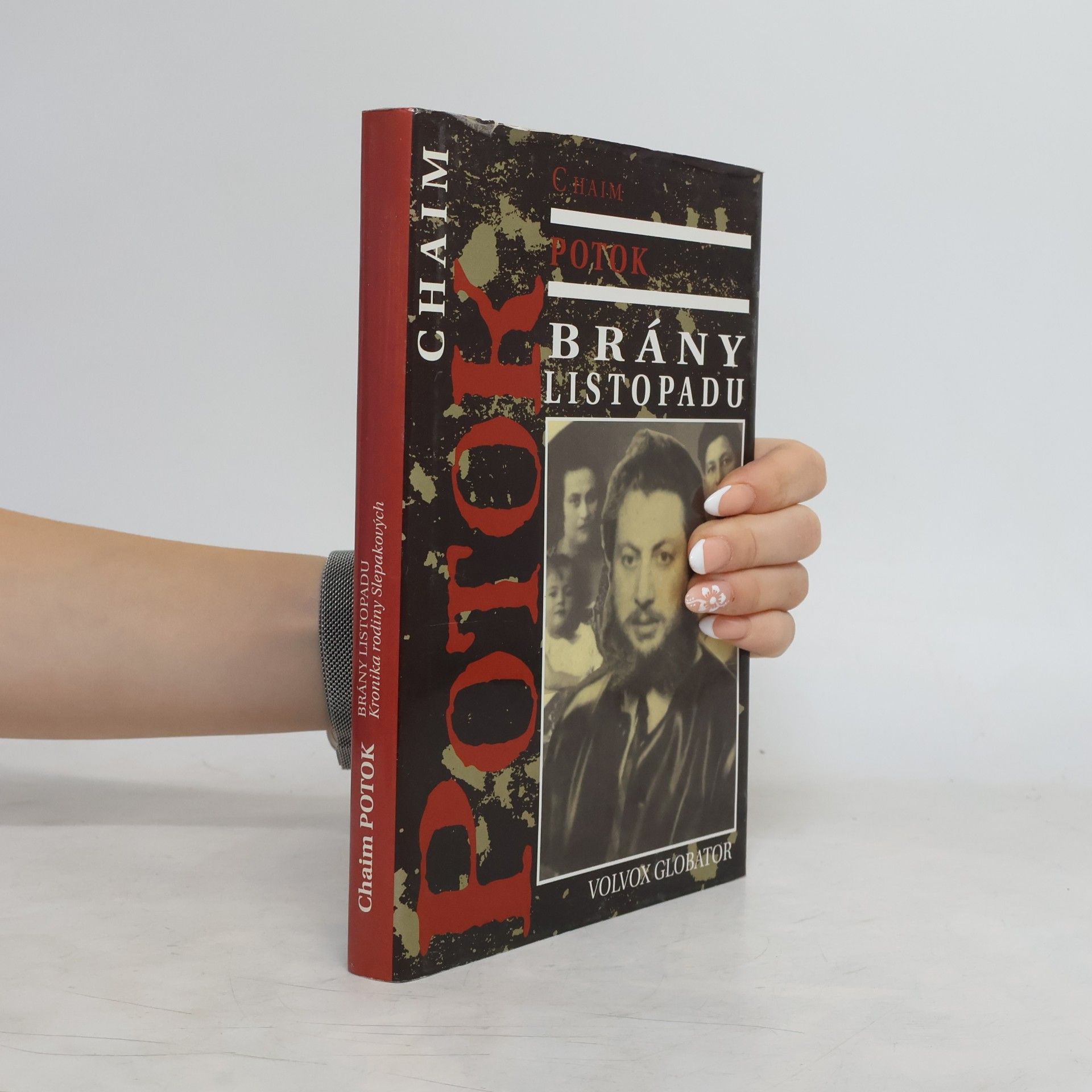 Chaim Potok Brány listopadu