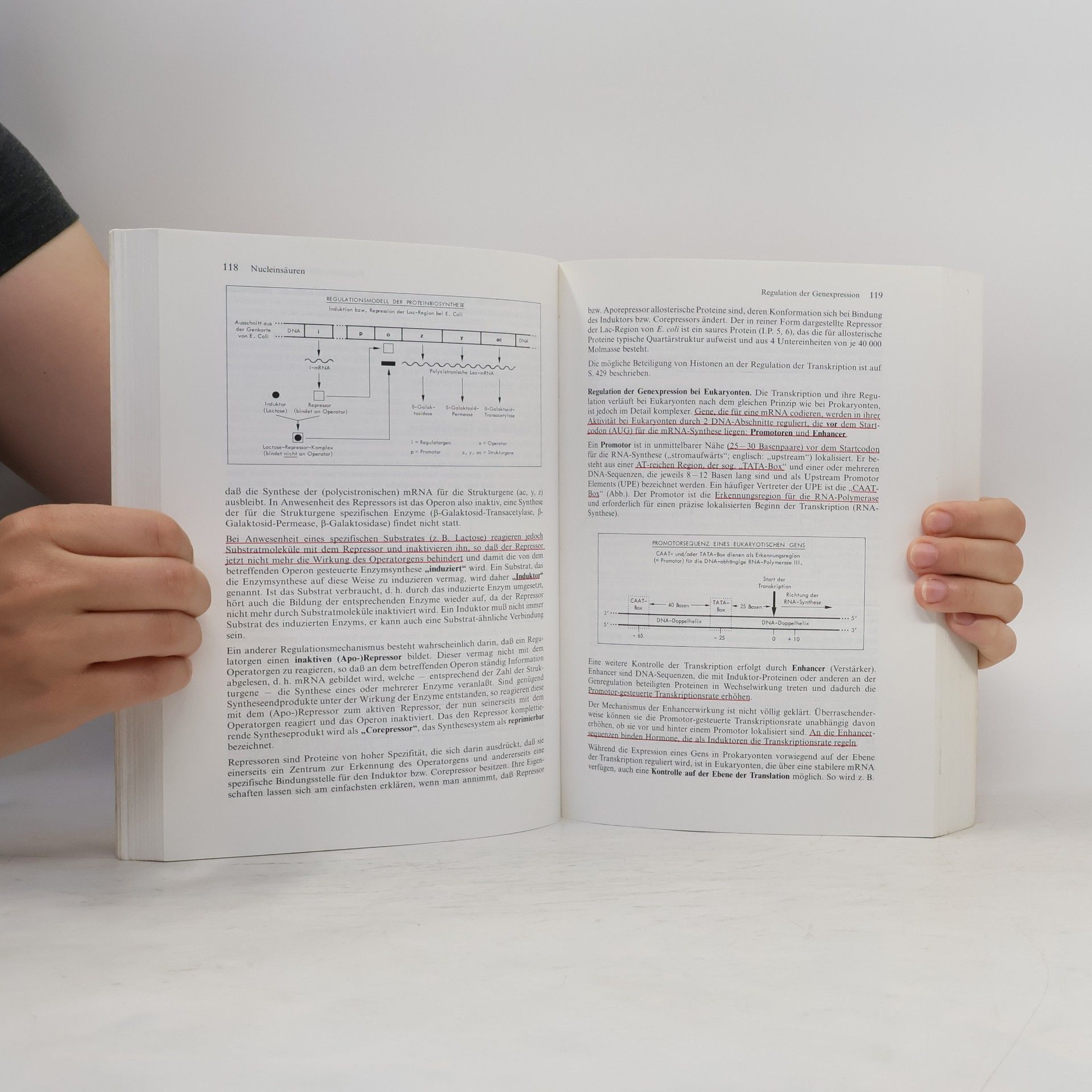 Eckhart Buddecke Grundriss der Biochemie für Studierende der Medizin, Zahnmedizin und Naturwissenschaften
