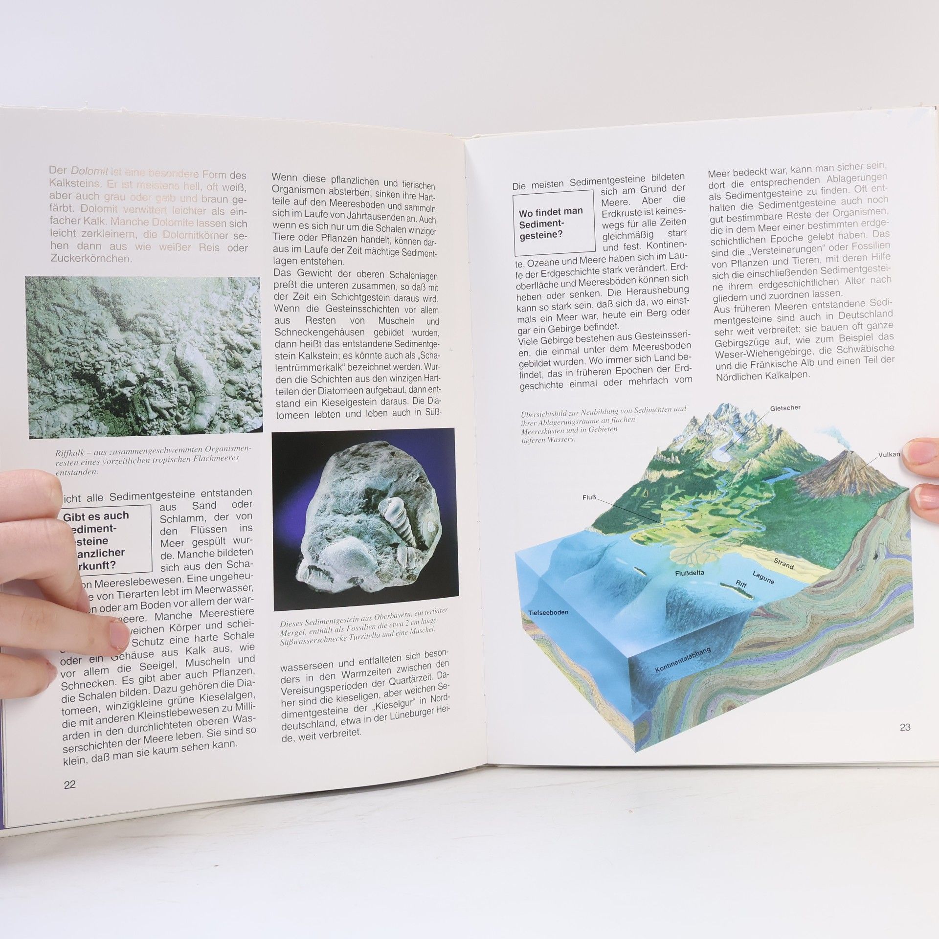 Walter Hähnel Mineralien und Gesteine 45