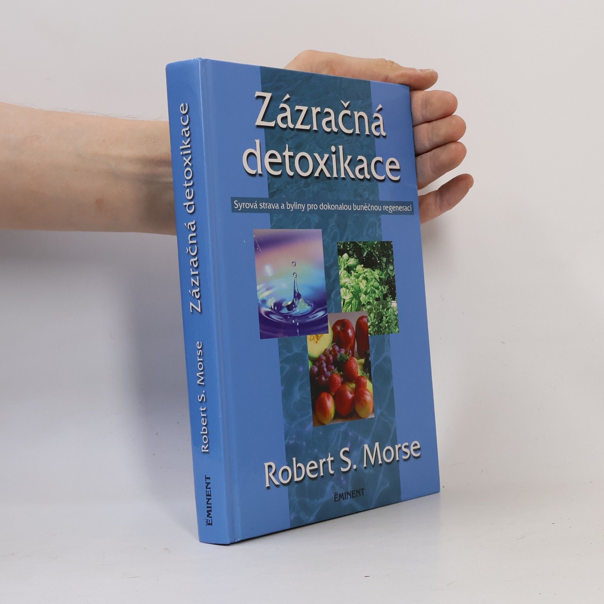Robert Morse Zázračná detoxikace