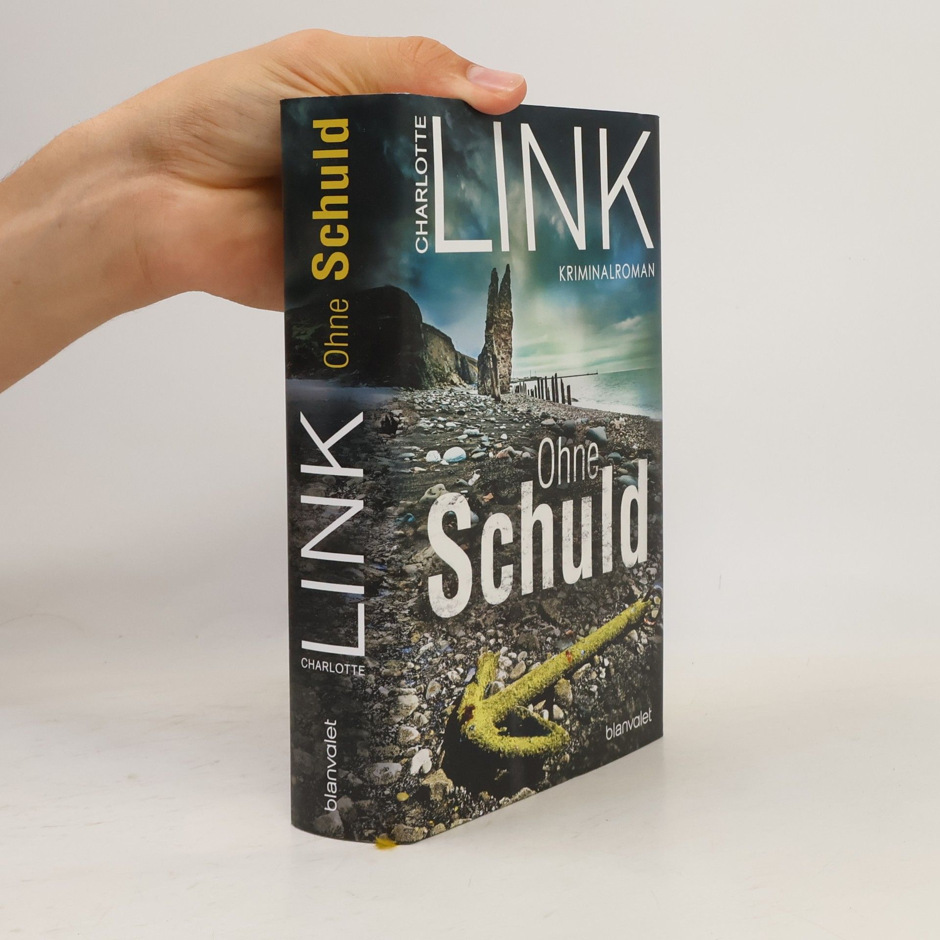 Charlotte Link Ohne Schuld