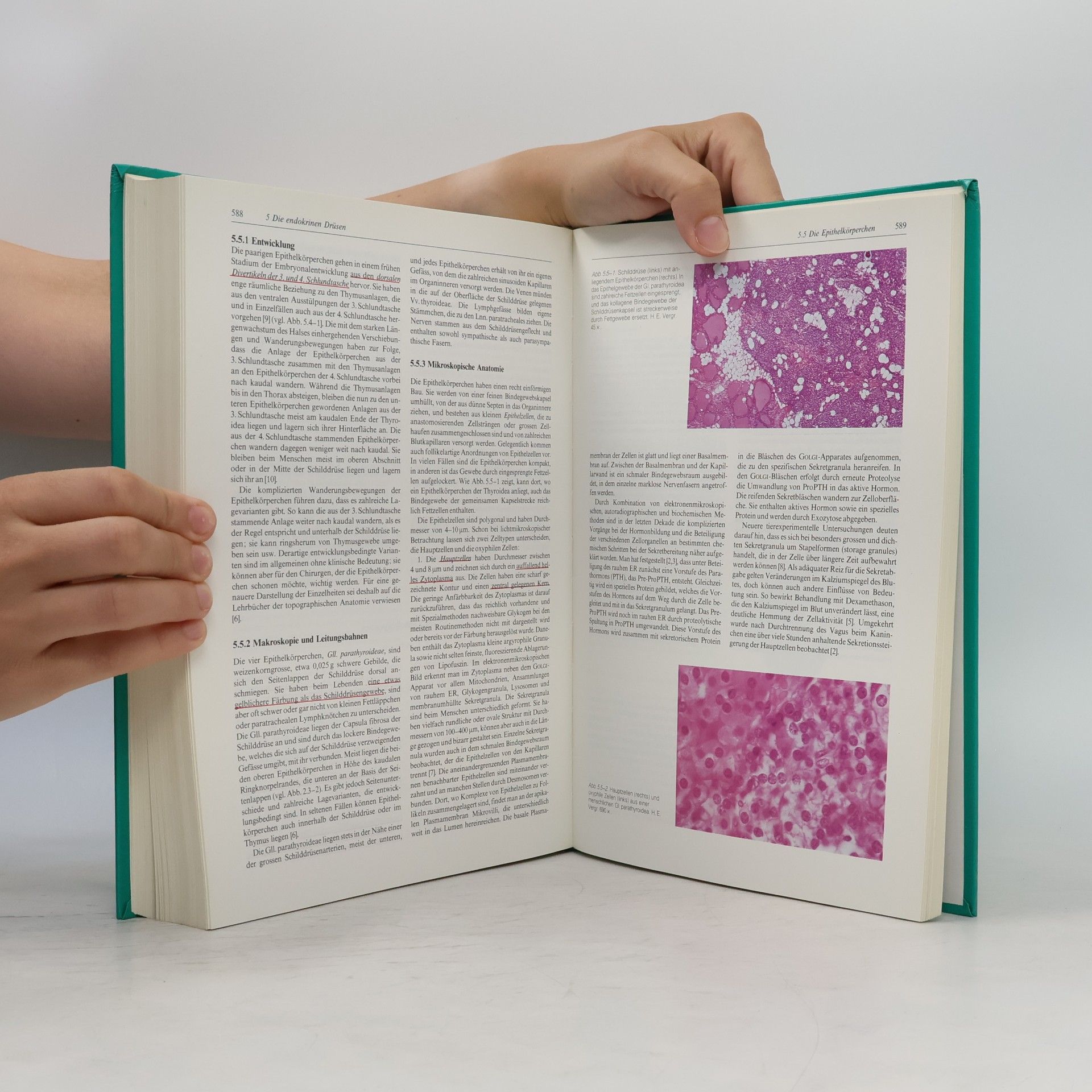 Alfred Benninghoff Makroskopische und mikroskopische Anatomie des Menschen