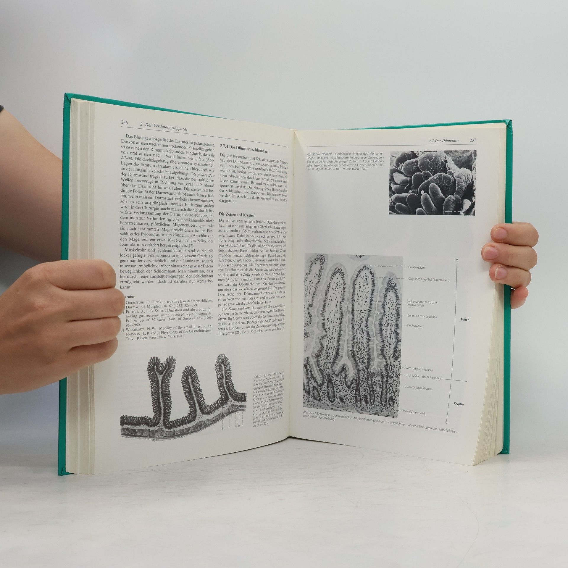 Alfred Benninghoff Makroskopische und mikroskopische Anatomie des Menschen