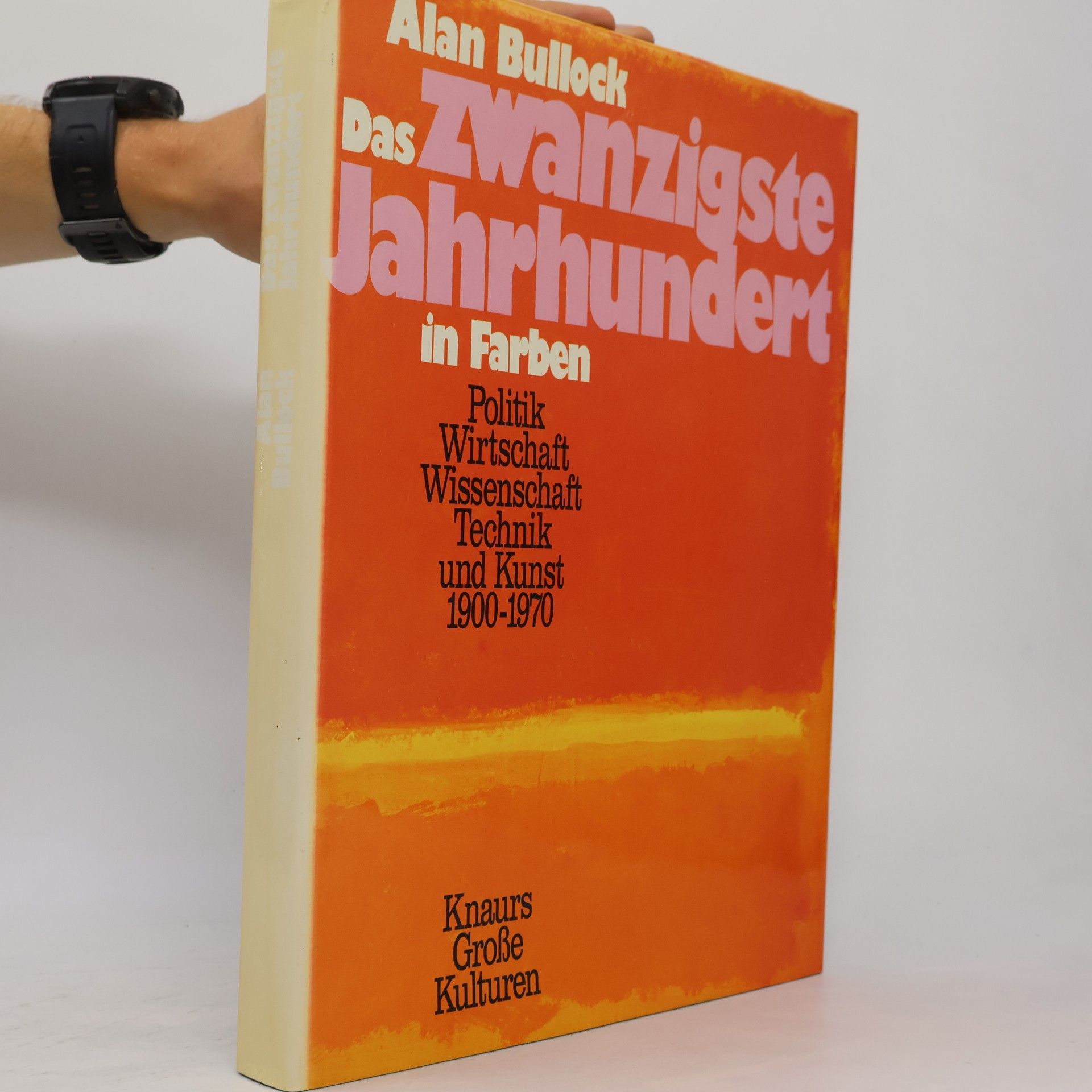 Das Zwanzigste Jahrhundert in Farben