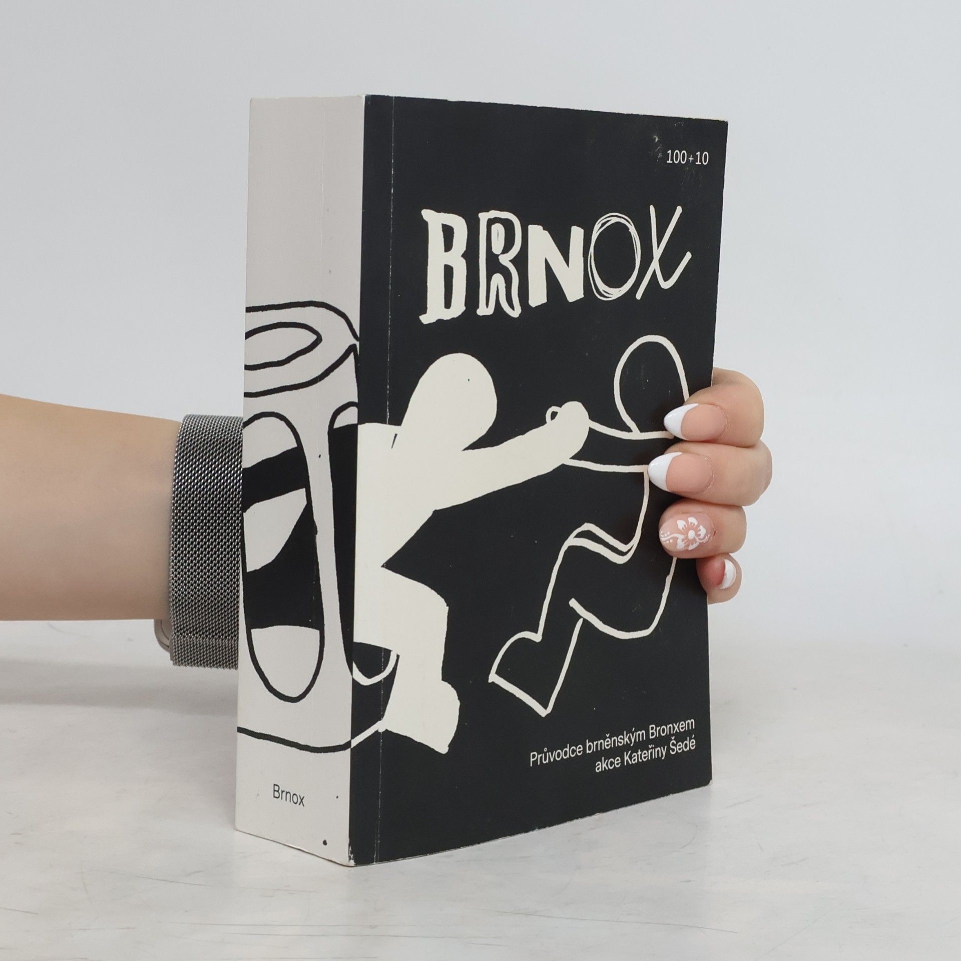 Aleš Palán Brnox. Průvodce brněnským Bronxem