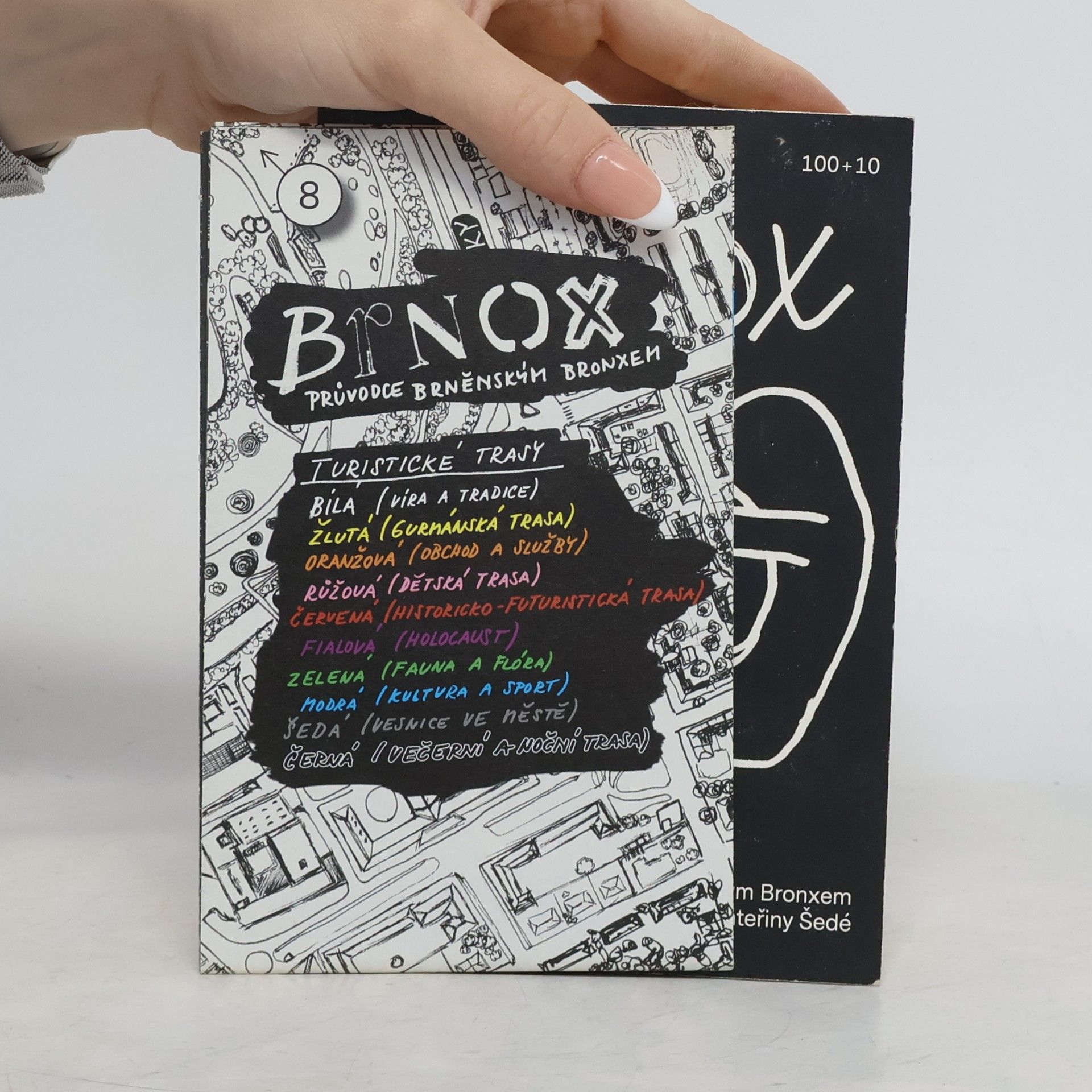 Aleš Palán Brnox. Průvodce brněnským Bronxem