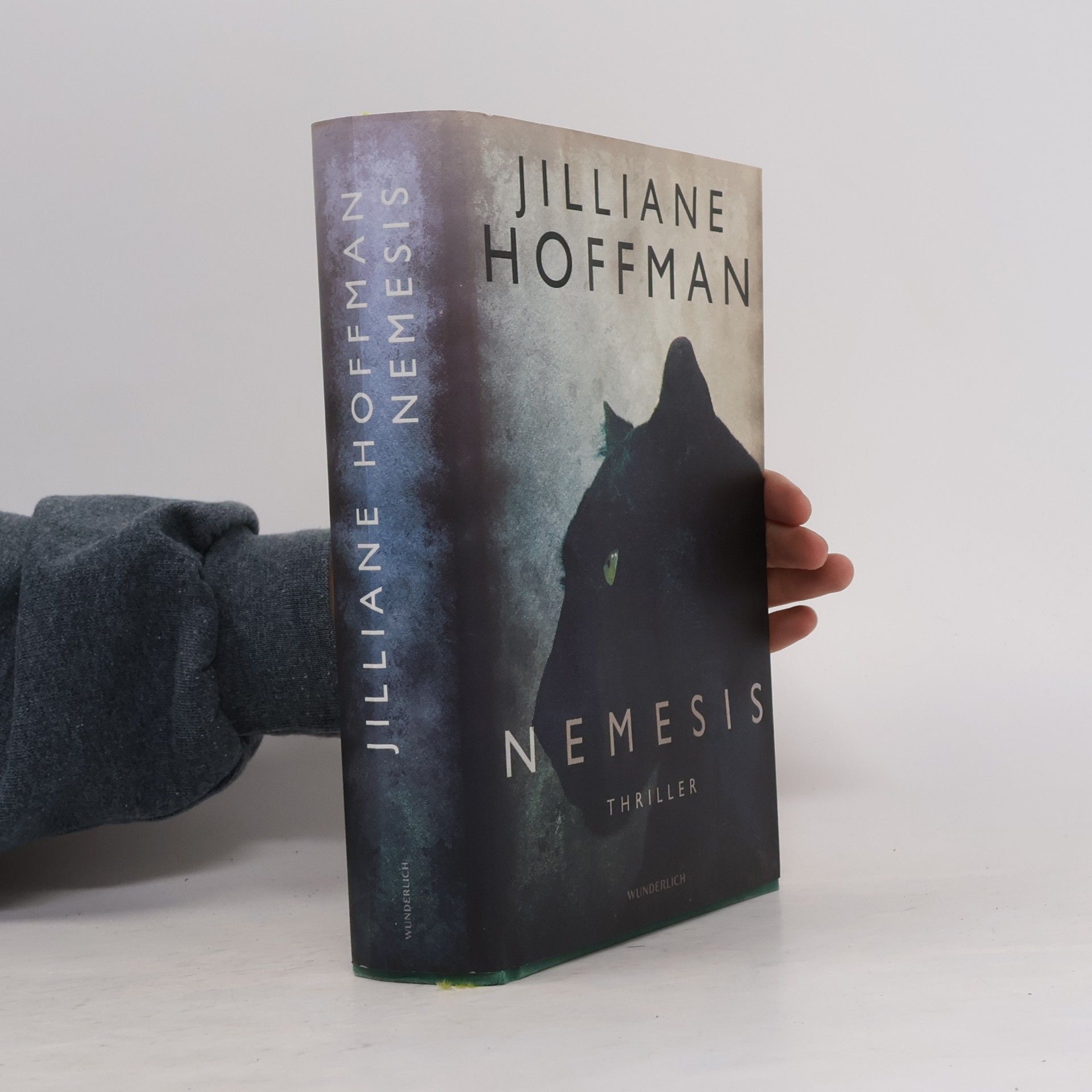Jilliane Hoffman Nemesis