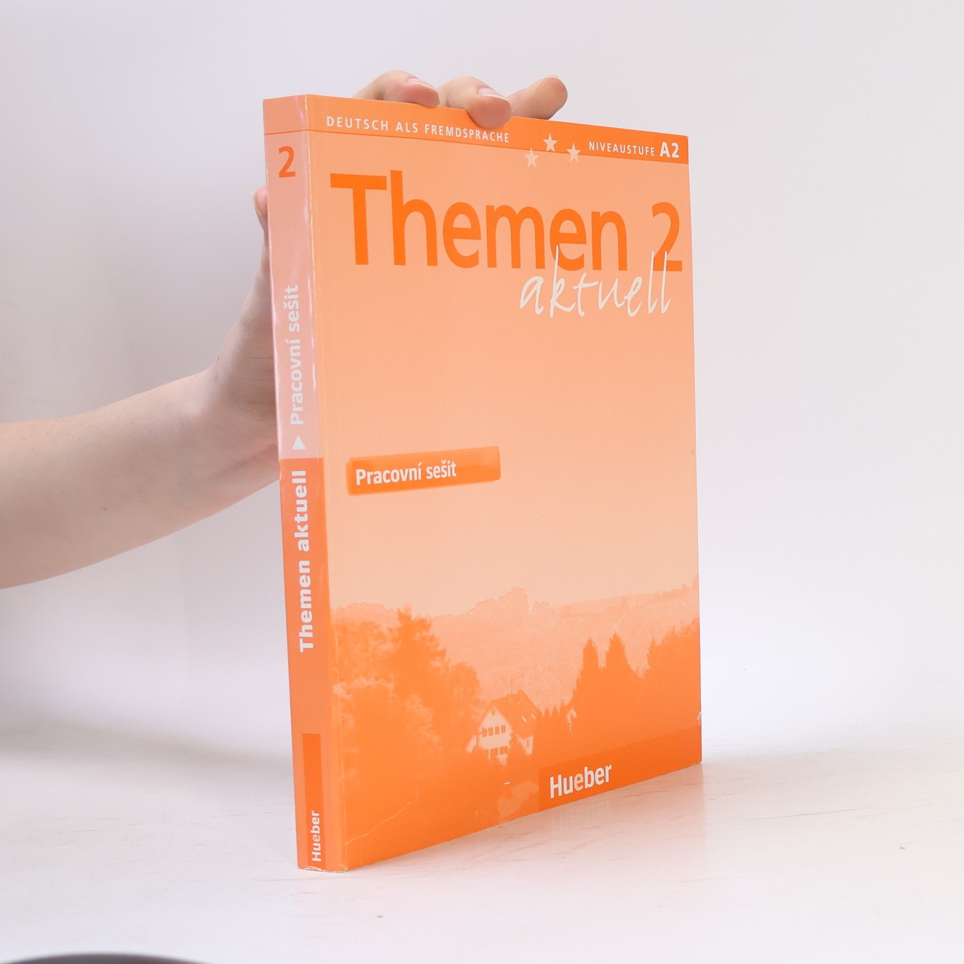 Themen aktuell 2 : pracovní sešit