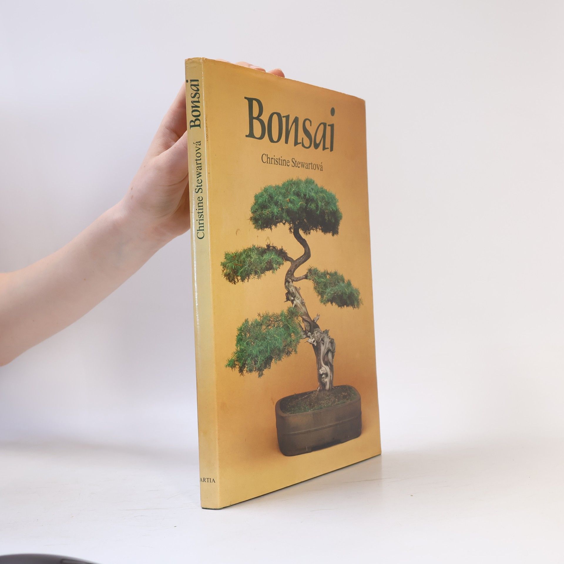 Christine Stewart Bonsai