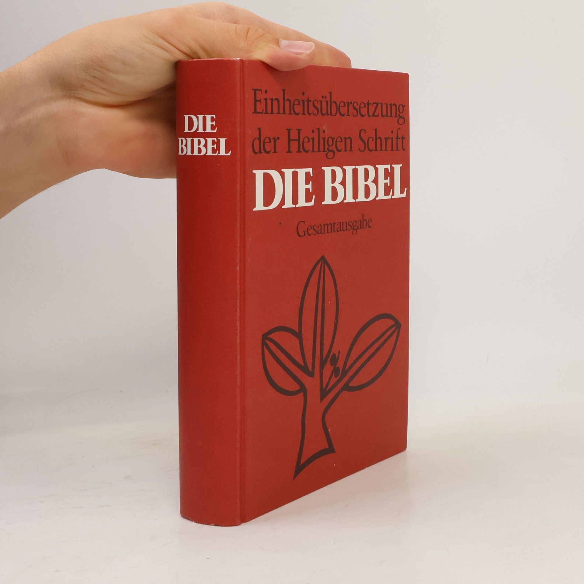 AA.VV. Einheitsubersetzung der heiligen Schrift Die Bibel