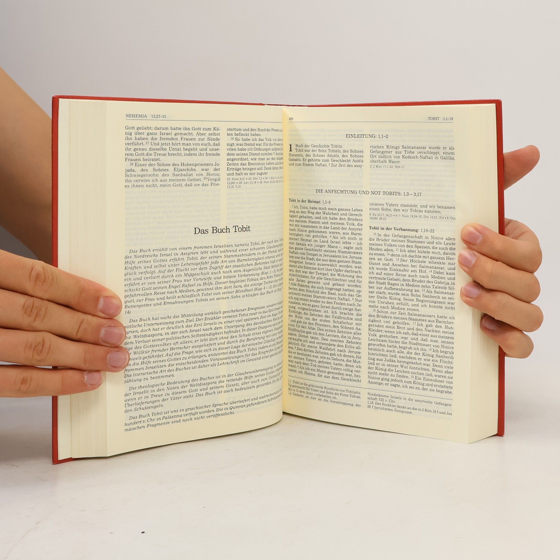 Collectif d'auteurs Einheitsubersetzung der heiligen Schrift Die Bibel