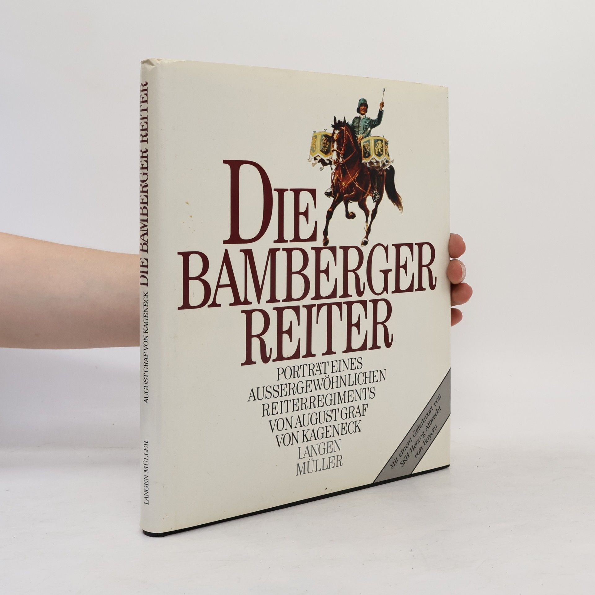 Die Bamberger Reiter