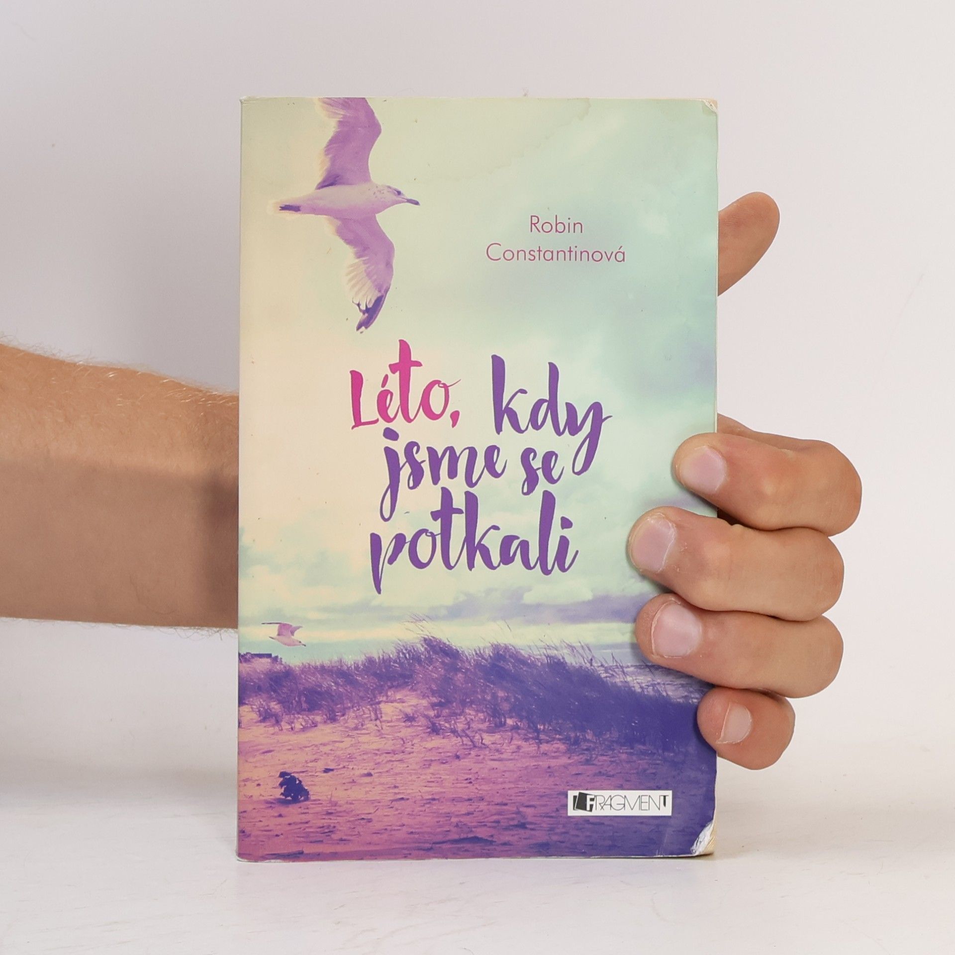 Robin Constantine Léto, kdy jsme se potkali