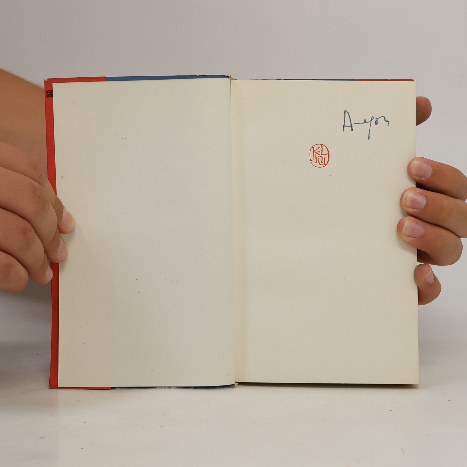 Louis Aragon Nedokončený román