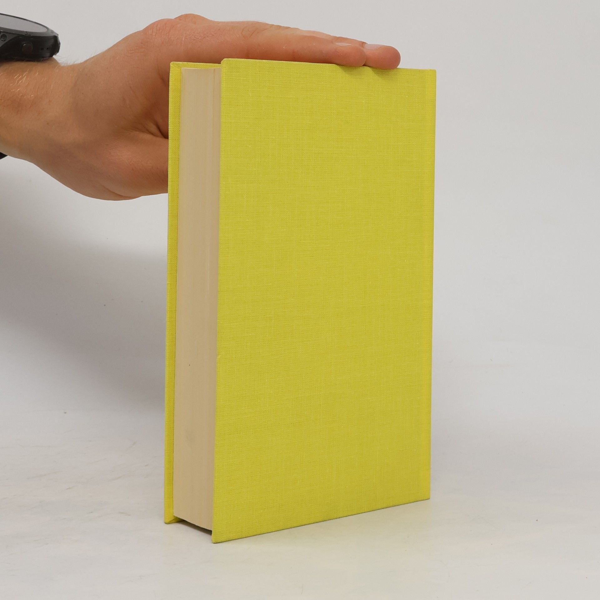 Collectif d'auteurs I Ging. Das Buch der Wandlungen