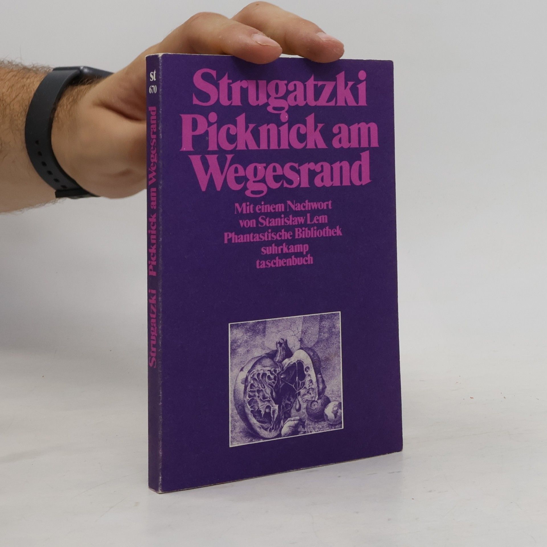 Arkady Strugatsky Picknick am Wegesrand