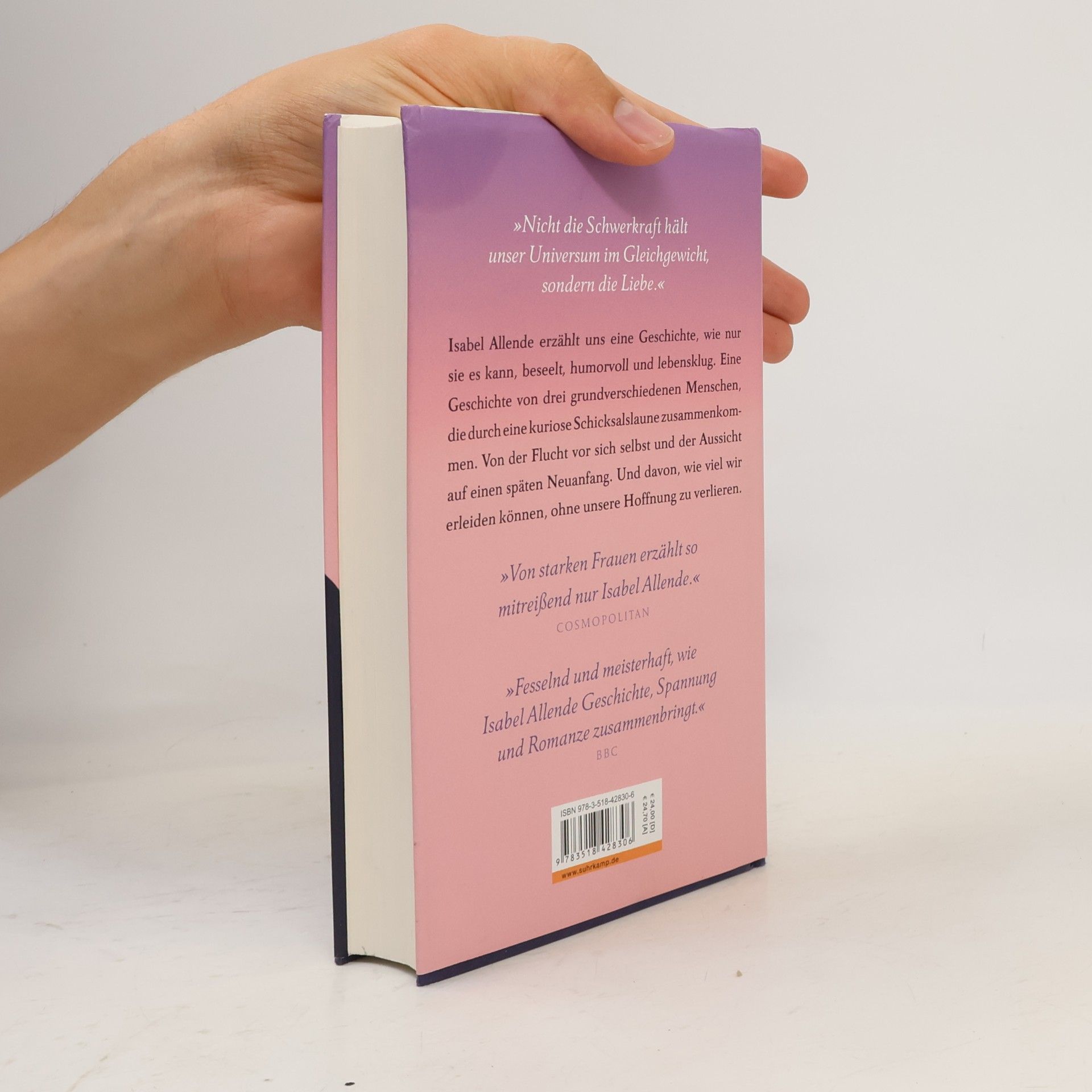Isabel Allende Ein unvergänglicher Sommer