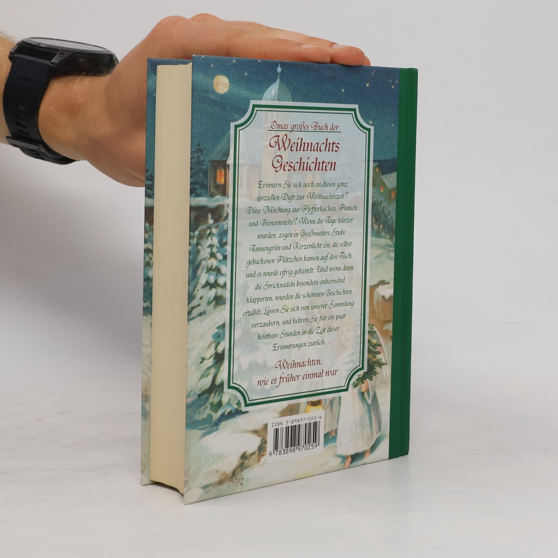 Ilse Walter Omas großes Buch der Weihnachtsgeschichten
