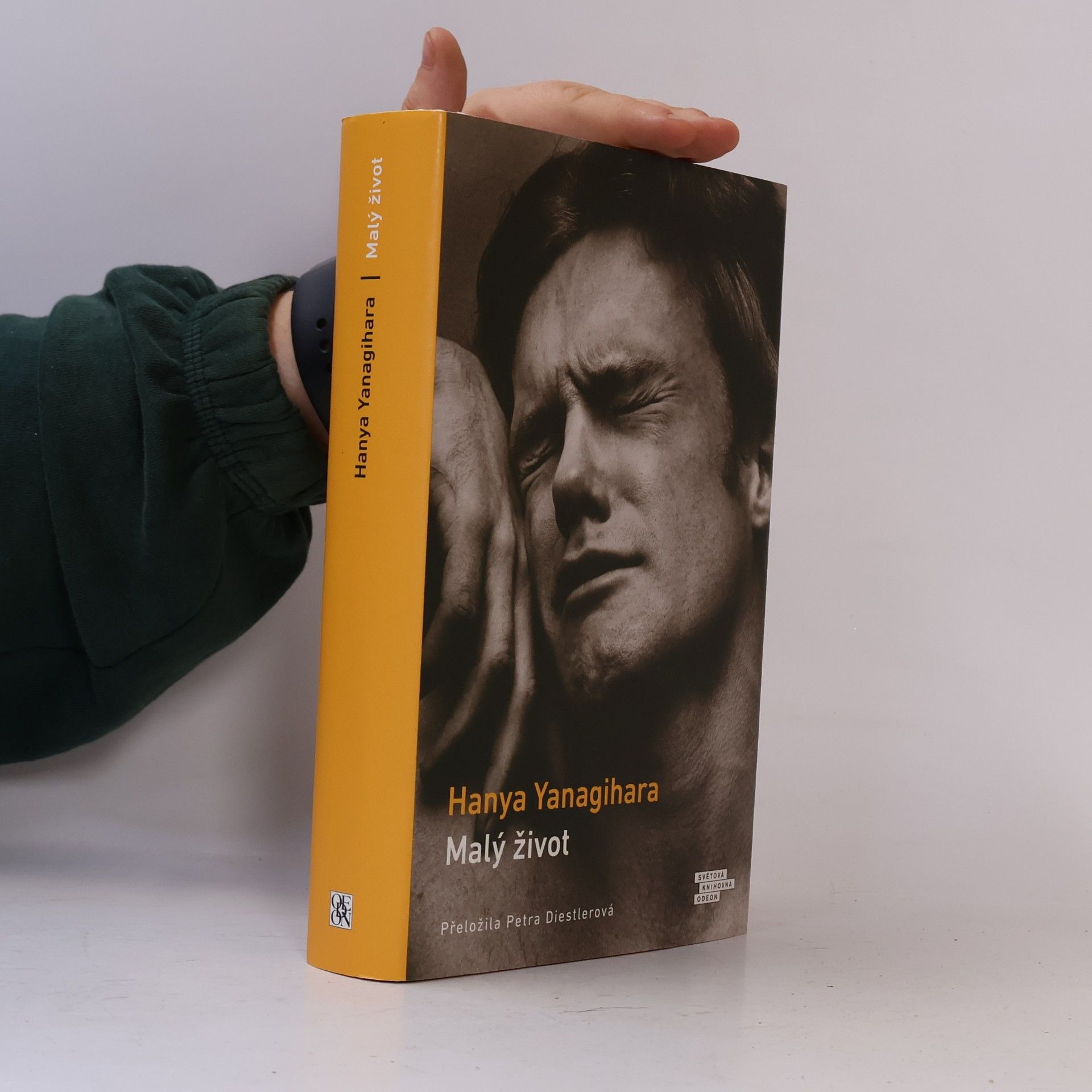 Hanya Yanagihara Malý život