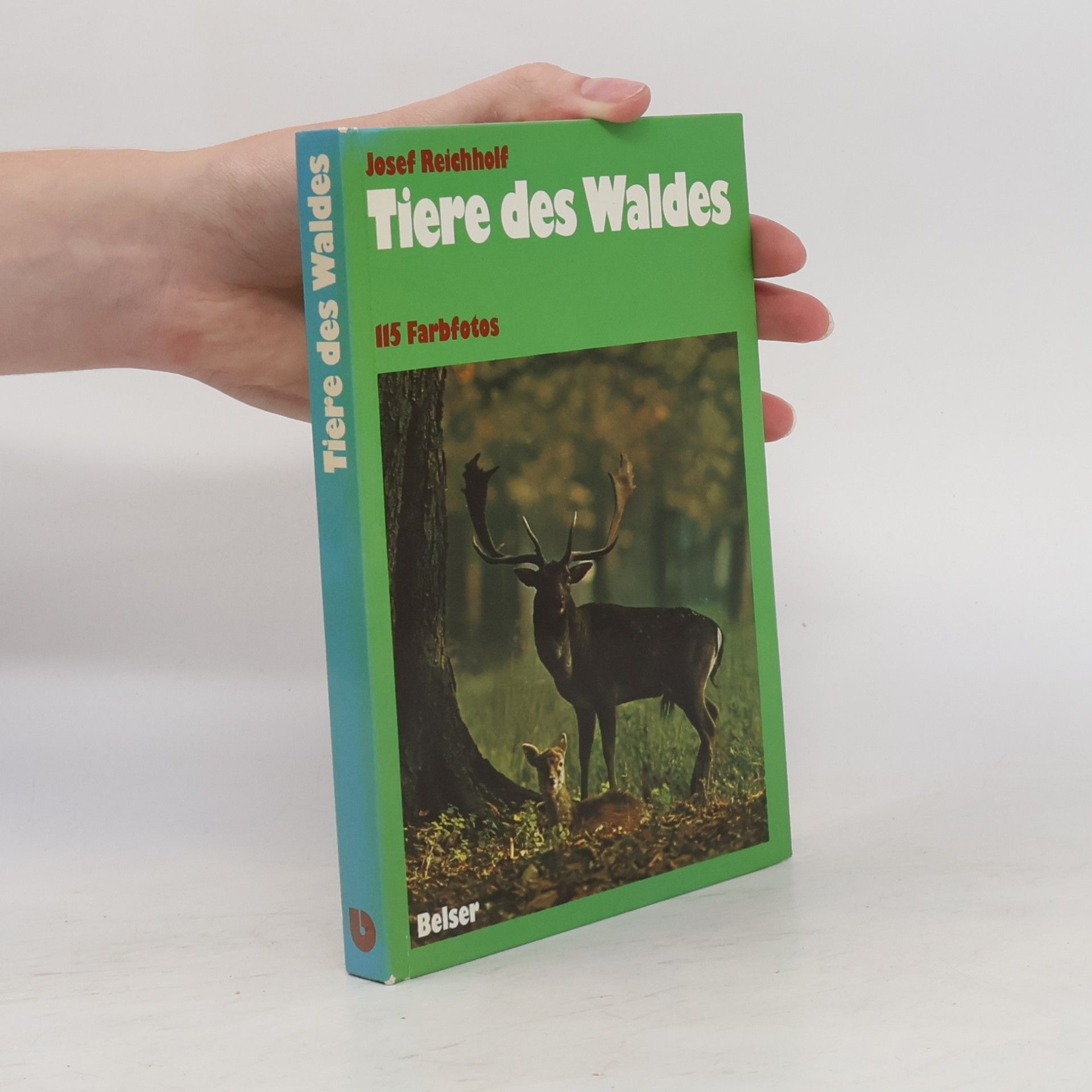 Josef H. Reichholf Tiere des Waldes