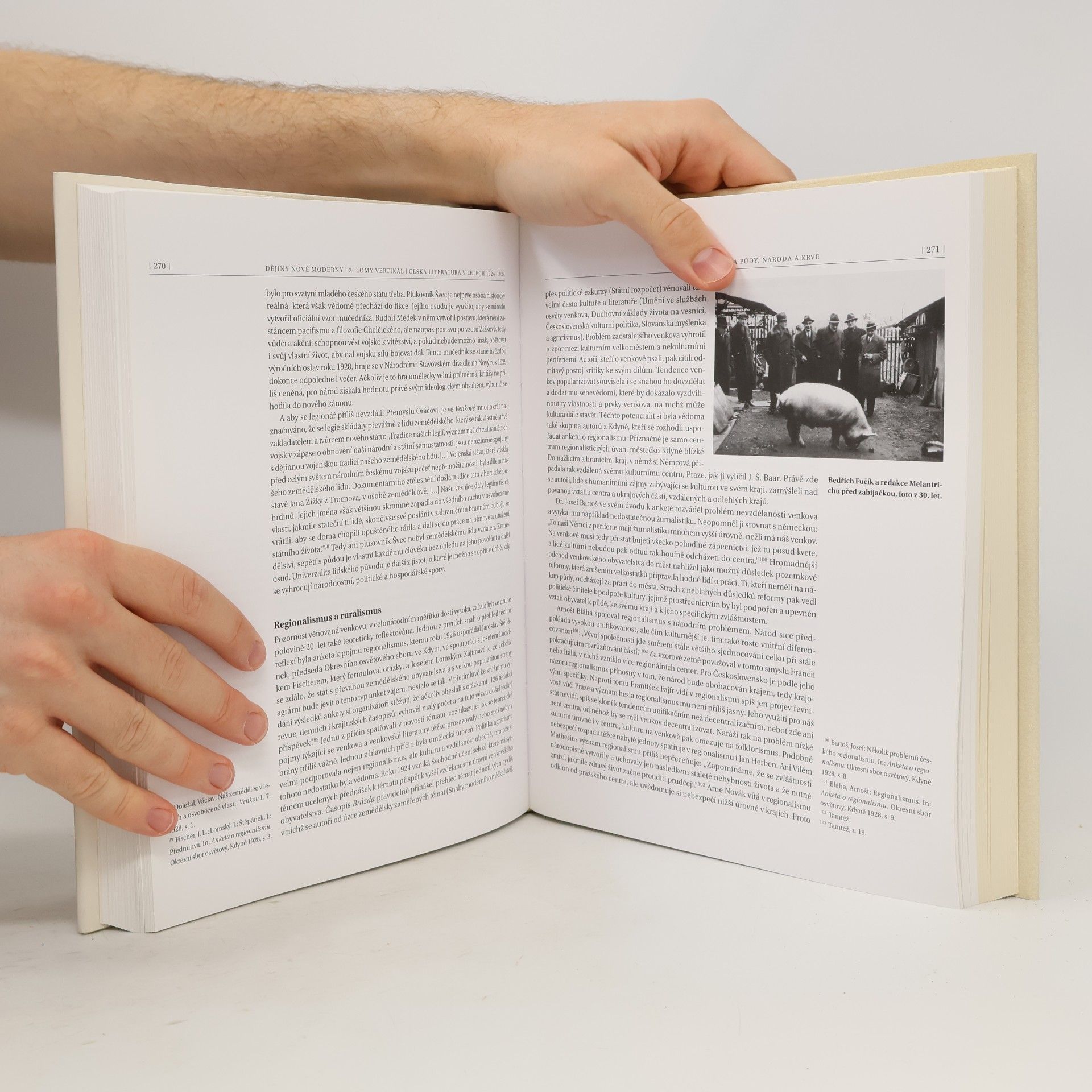 Vladimír Papoušek Dějiny nové moderny. 2, Lomy vertikál : česká literatura v letech 1924−1934
