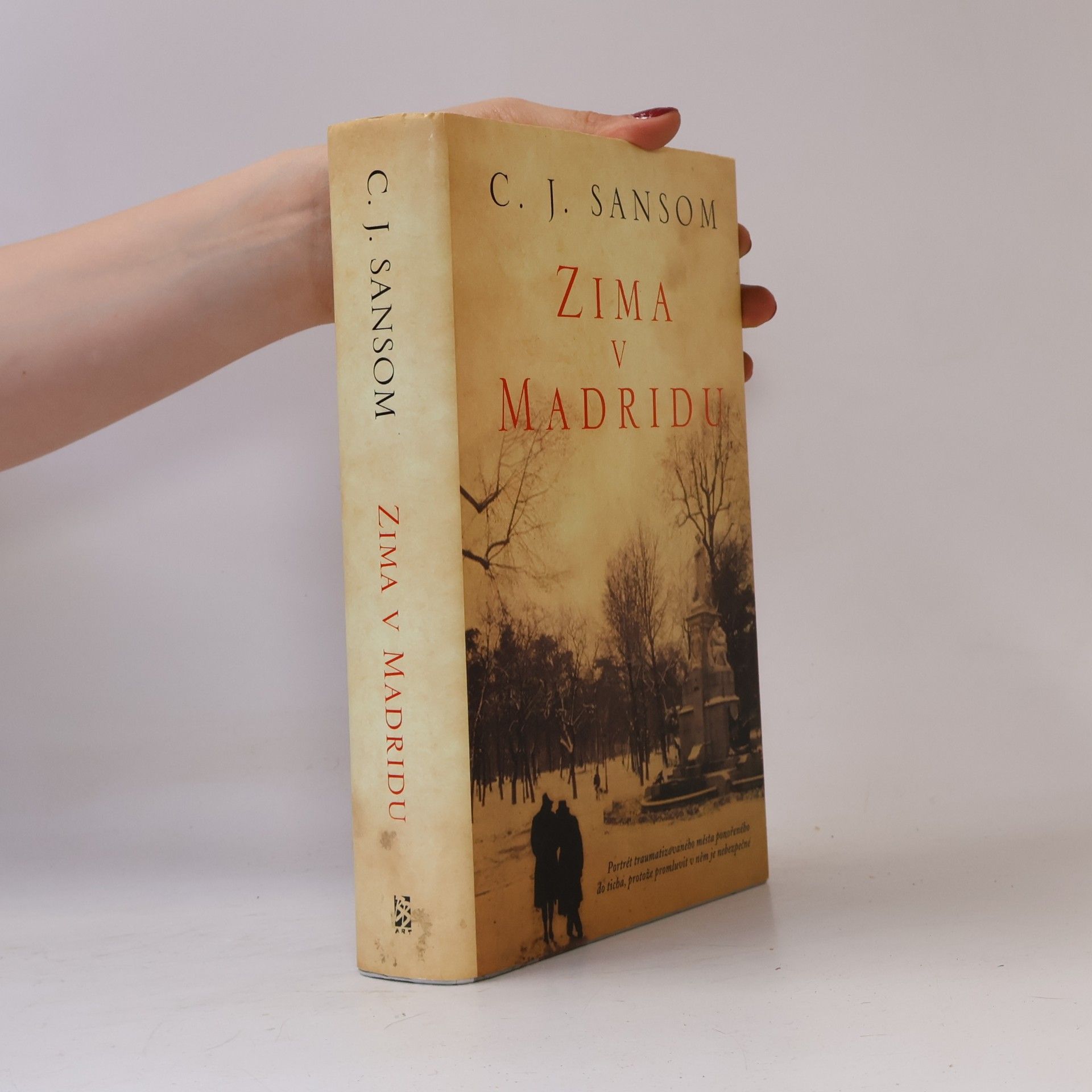 Christopher John Sansom Zima v Madridu