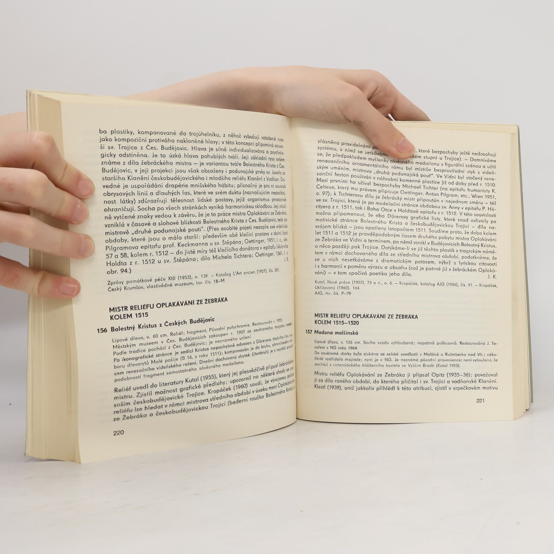 Various authors Jihočeská pozdní gotika 1450-1530