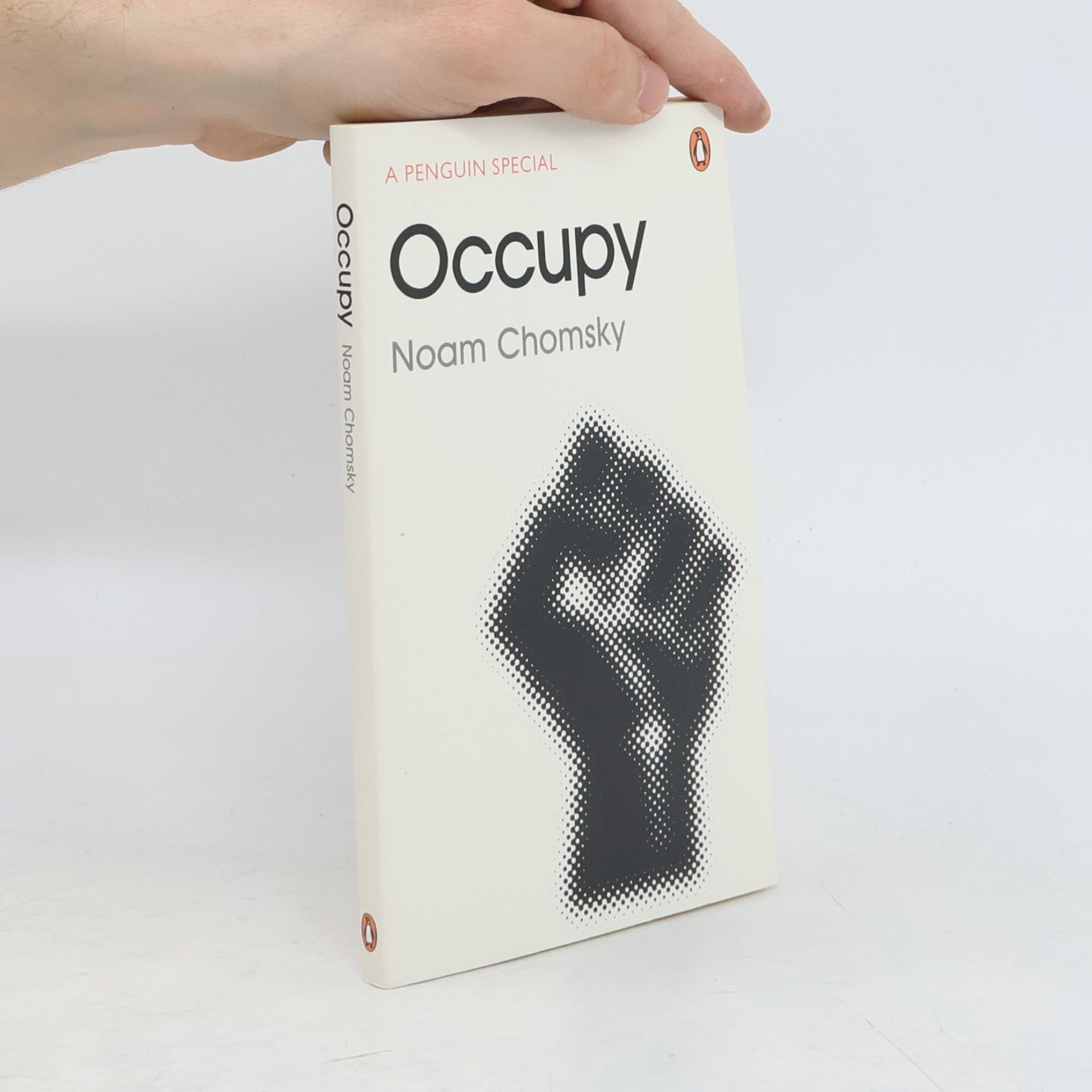 Noam Chomsky Occupy