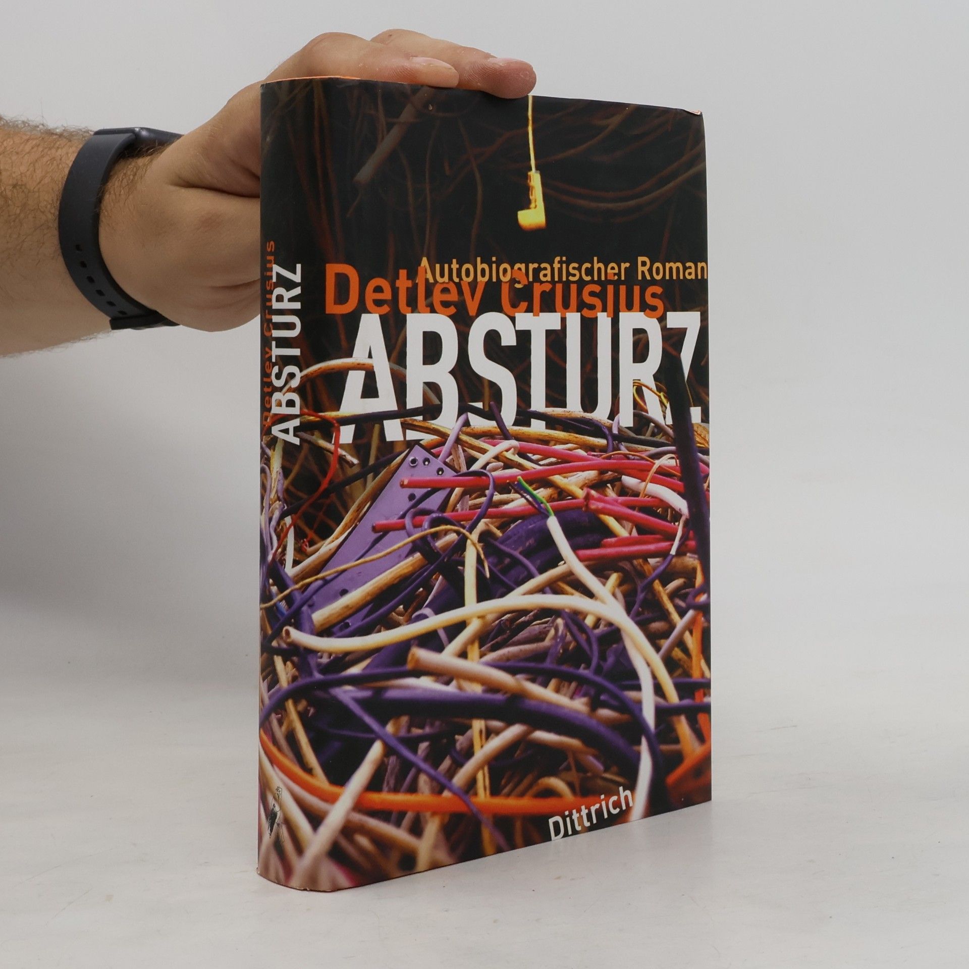 Detlev Crusius Absturz