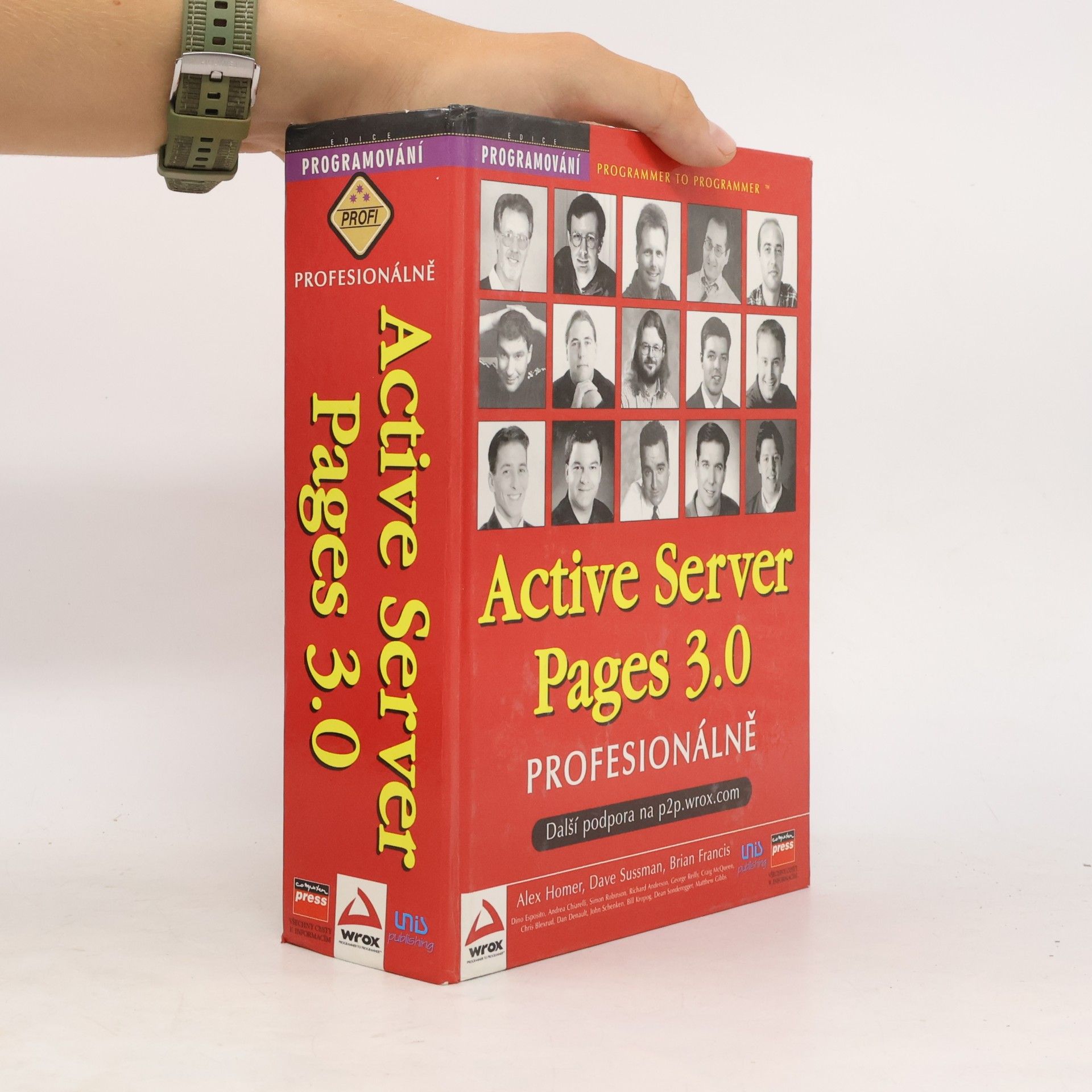 David Brůha Active Server Pages 3.0 profesionálně