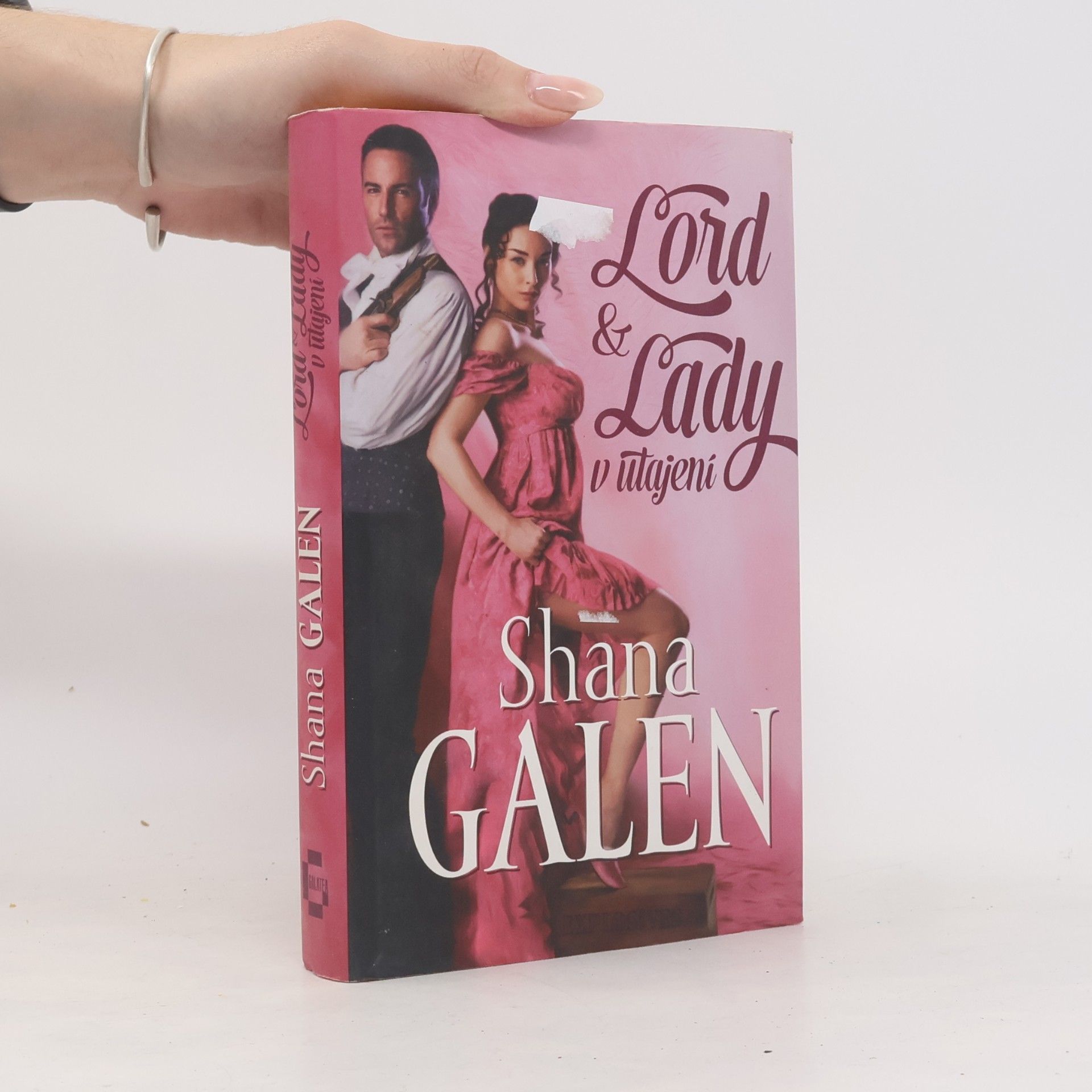 Shana Galen Lord & Lady v utajení