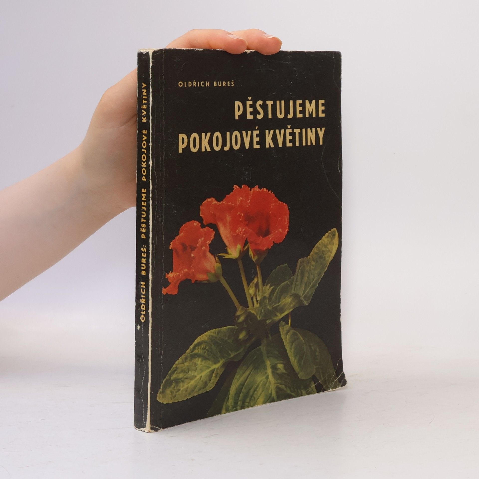 Oldřich Bureš Pěstujeme pokojové květiny