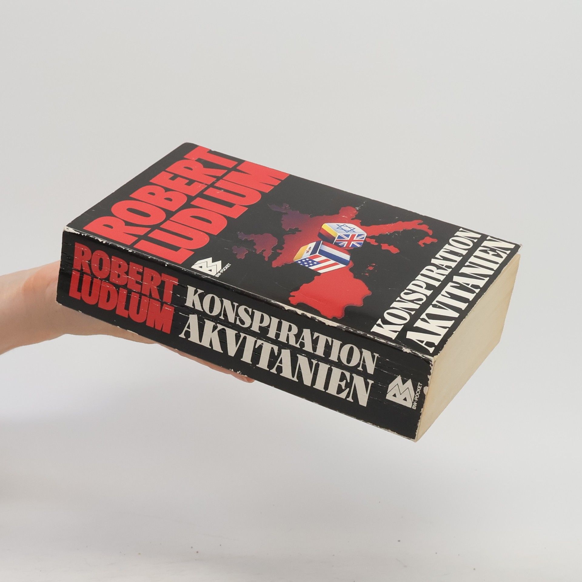 Robert Ludlum Konspiration Akvitanien