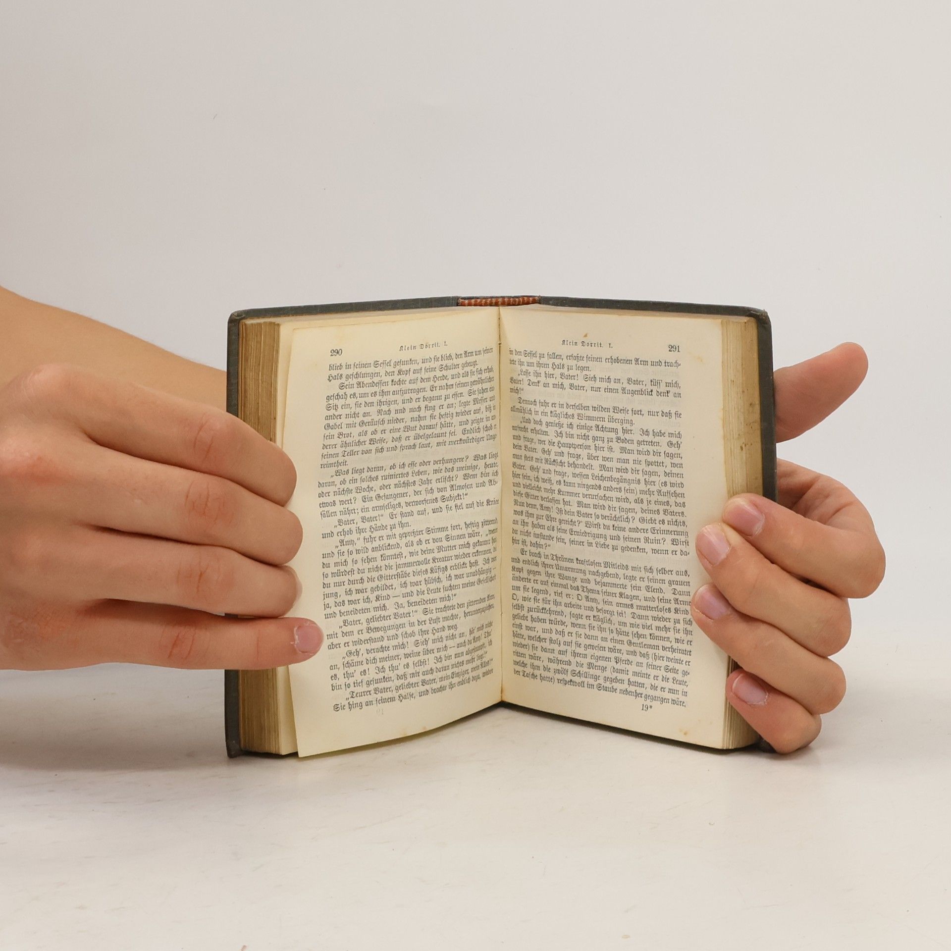 Charles Dickens Dickens Werke. Klein Dorrit I.
