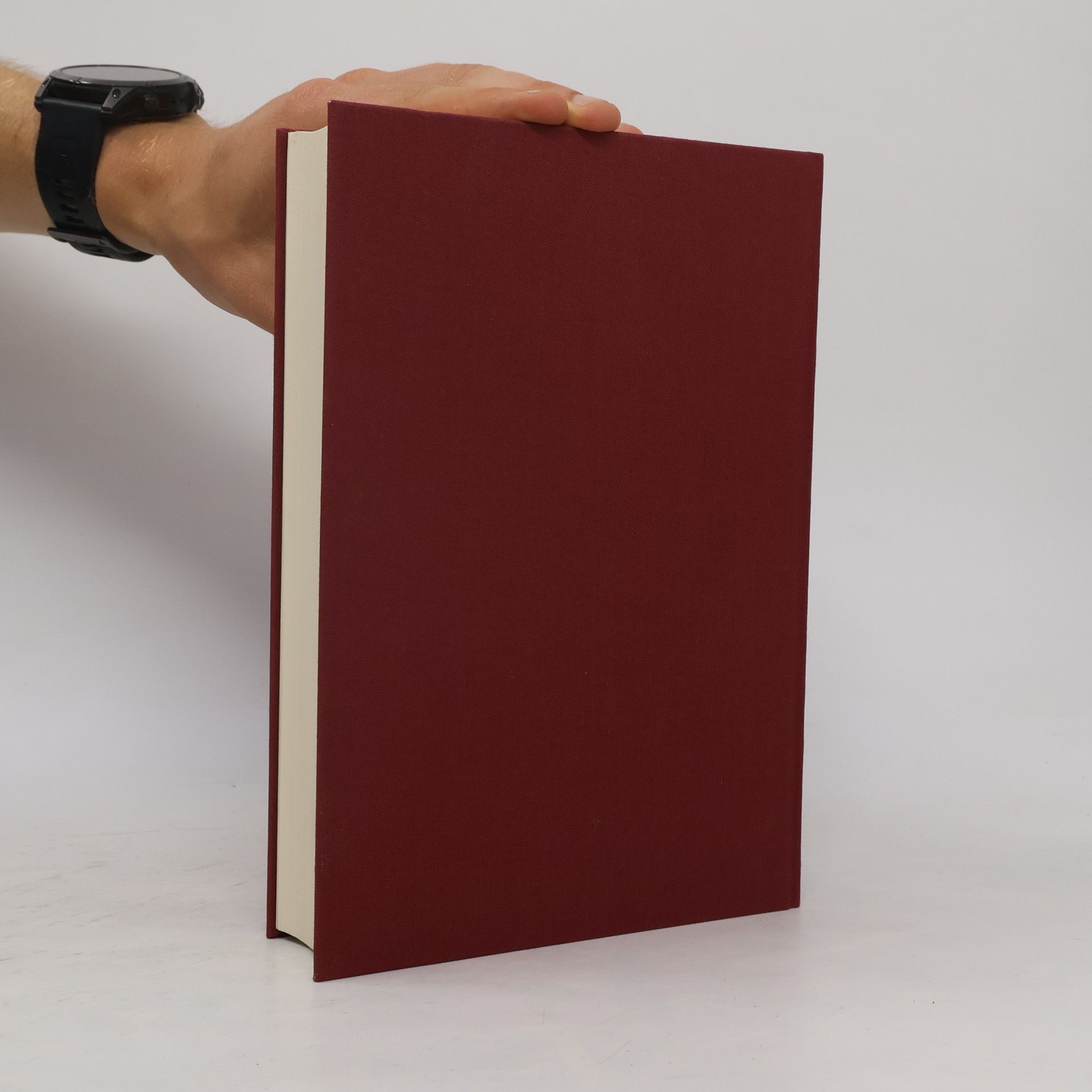 Hans Michael Baumgartner Handbuch philosophischer Grundbegriffe