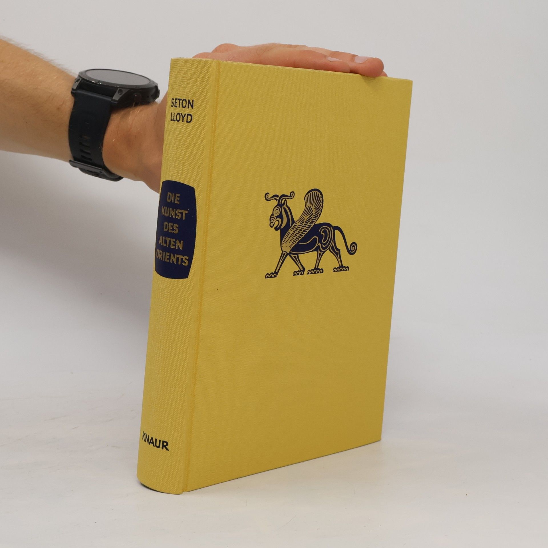 Sethon Lloyd Die Kunst des Alten Orients