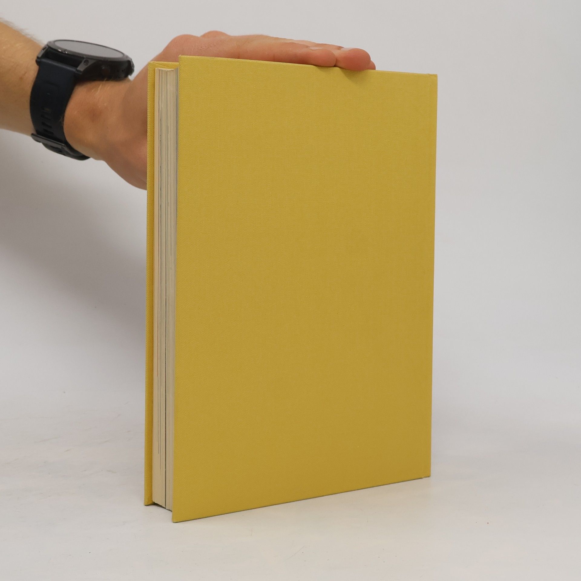Sethon Lloyd Die Kunst des Alten Orients