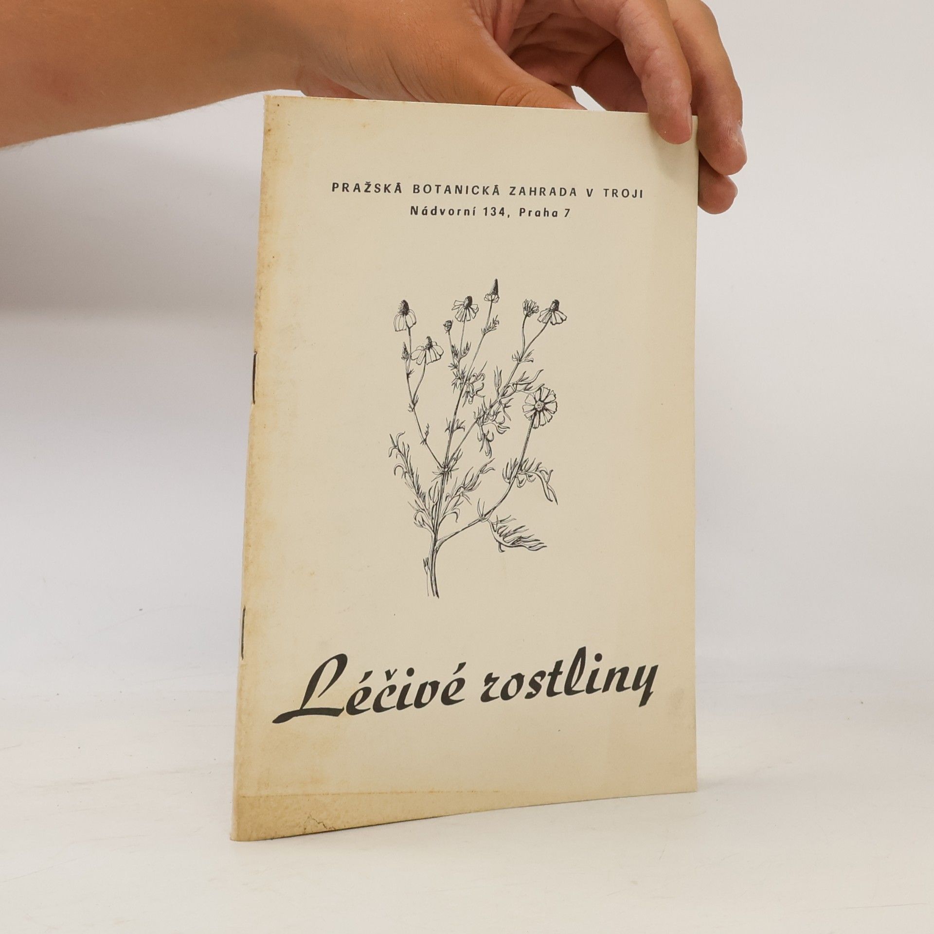 Karel Mach Léčivé rostliny