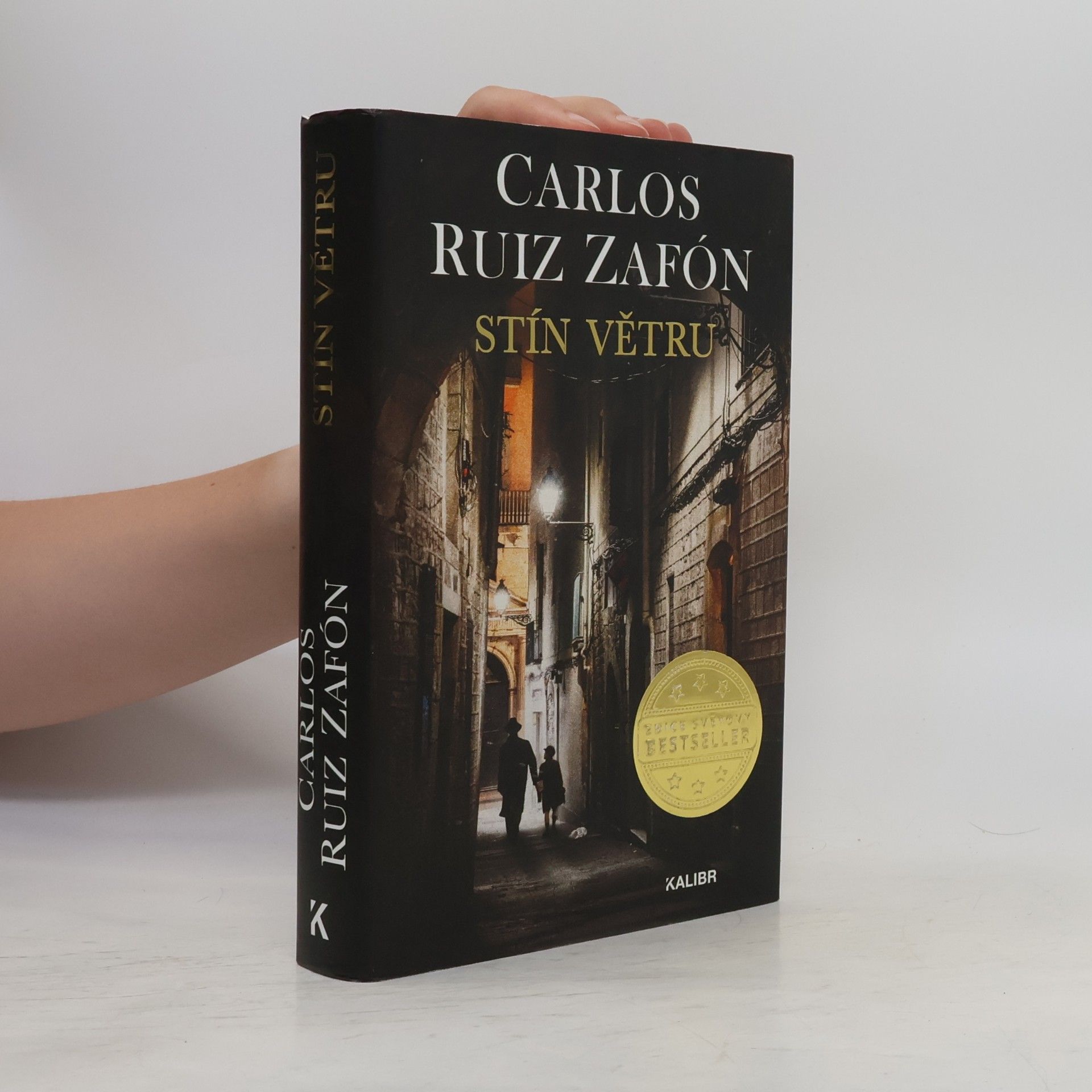 Carlos Ruiz Zafón Stín větru