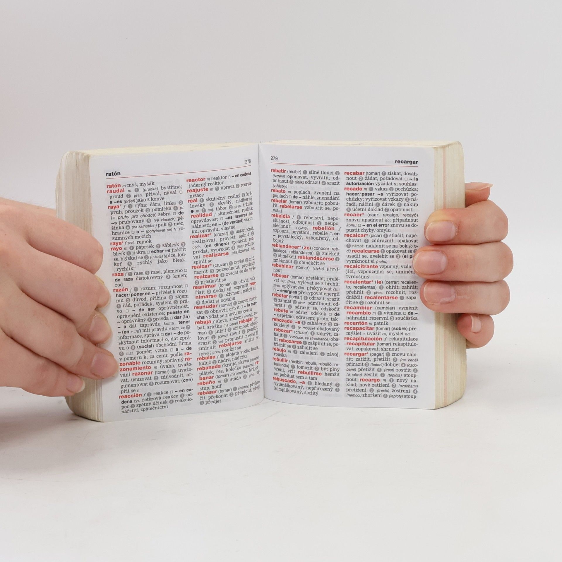 Various authors Španělsko-český, česko-španělský slovník = Diccionario español-checo, checo-español