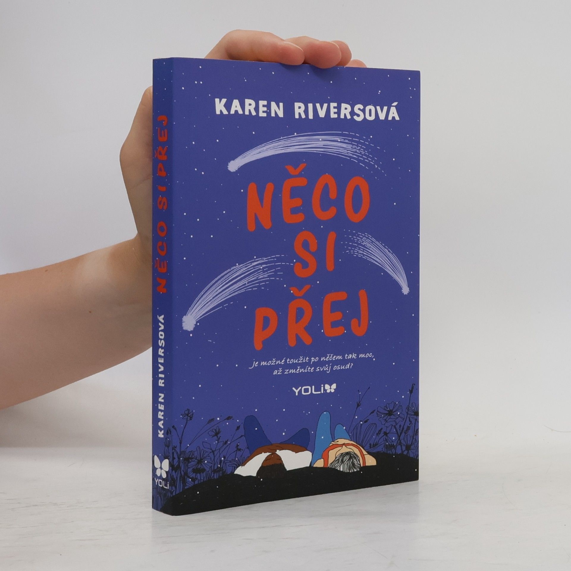 Karen Rivers Něco si přej