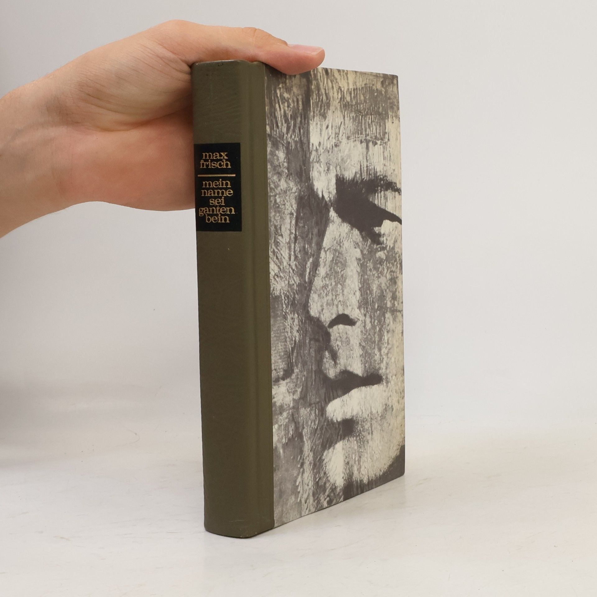 Max Frisch Mein Name sei Gantenbein
