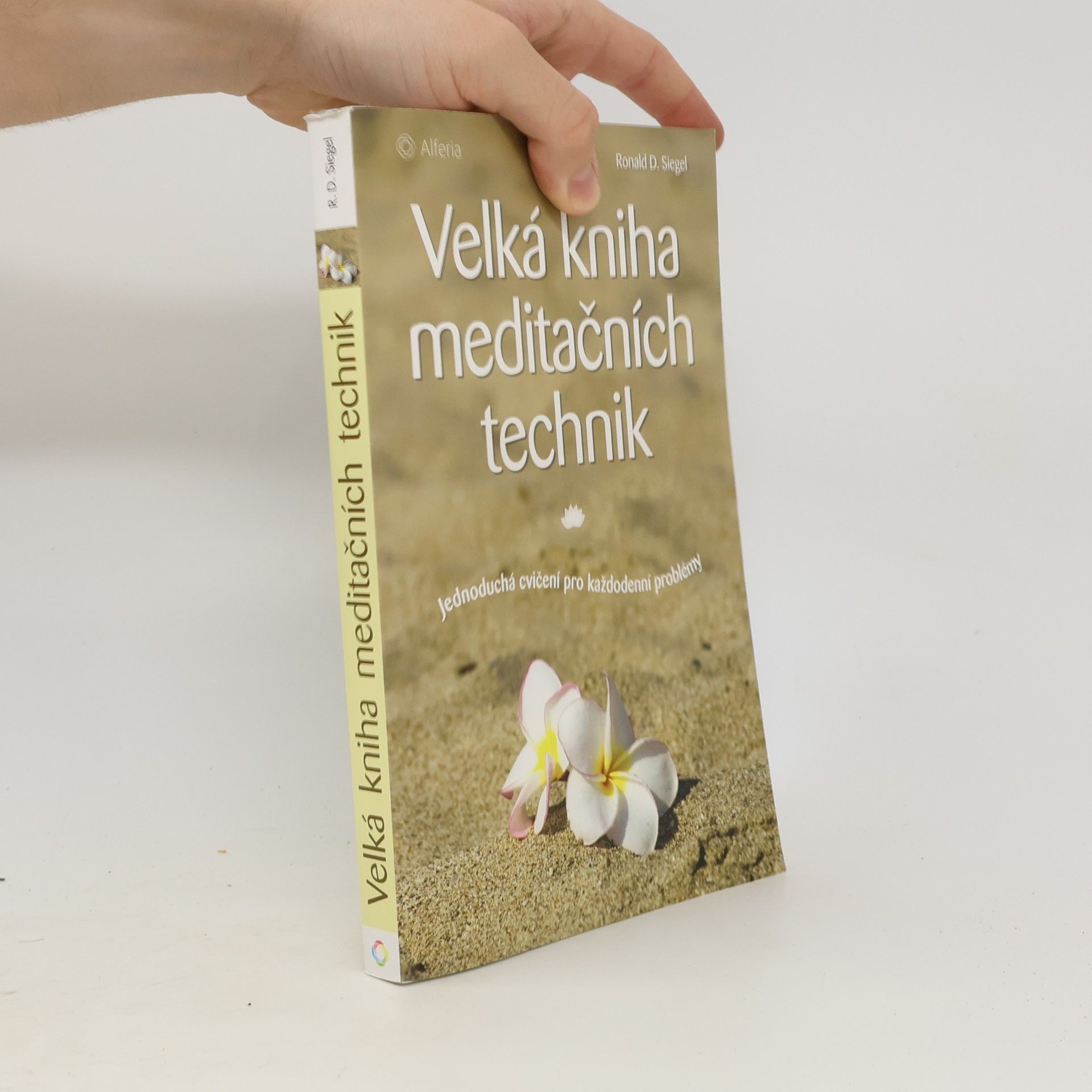 Velká kniha meditačních technik : Jednoduchá cvičení pro každodenní problémy