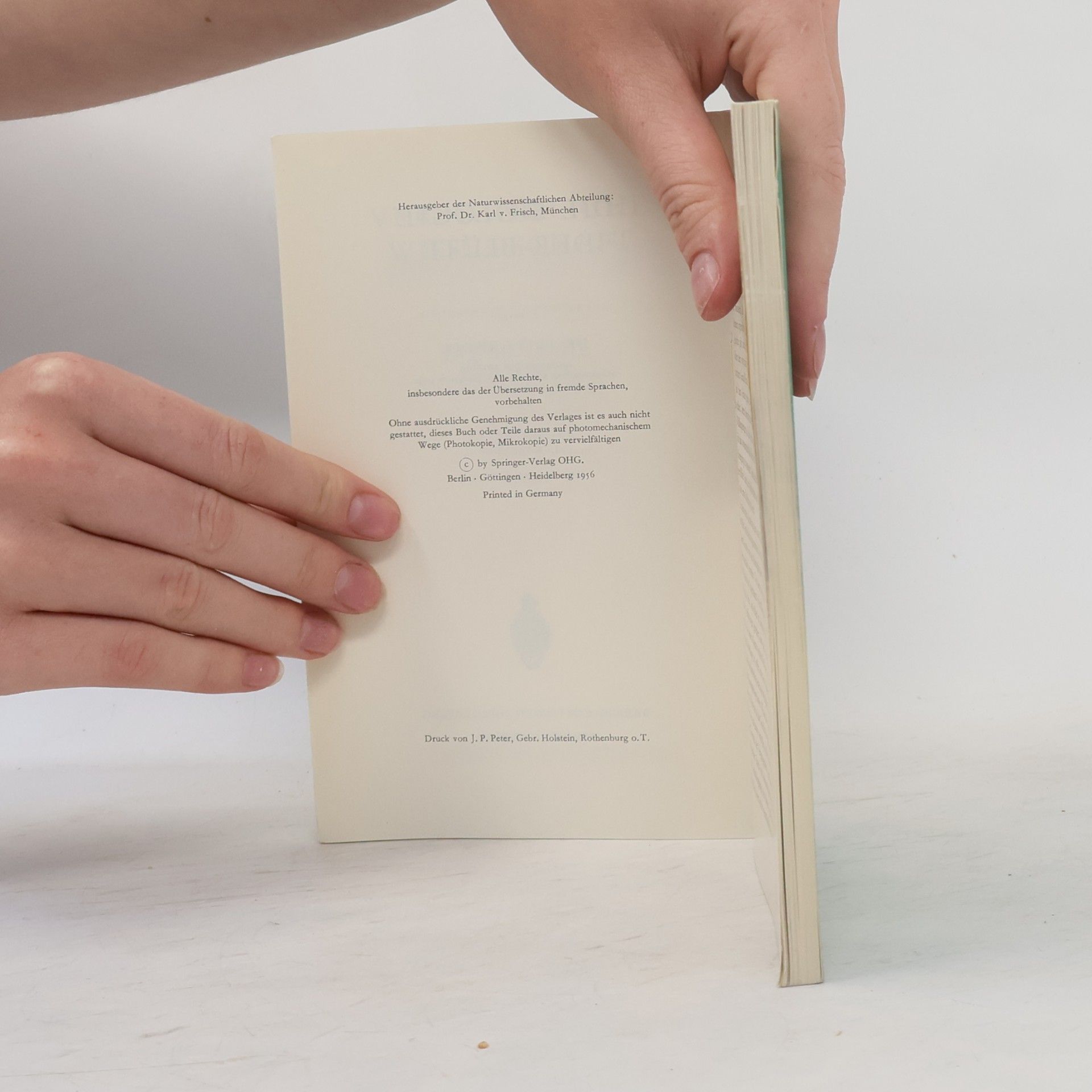 Fritz Knoll Die Biologie der Blüte