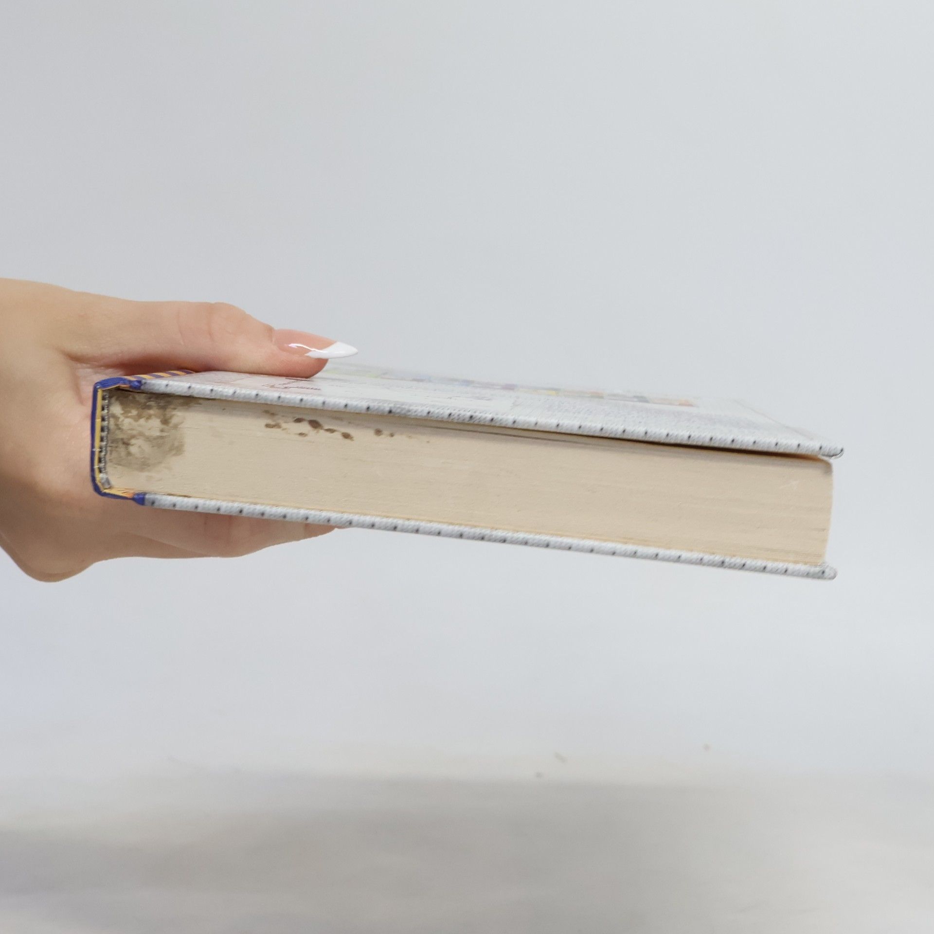 Jeff Kinney Deník malého poseroutky 16. Velká šance