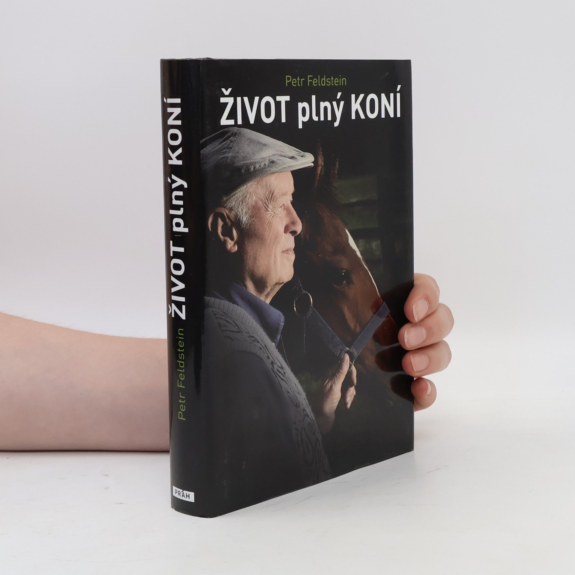 Petr Feldstein Život plný koní