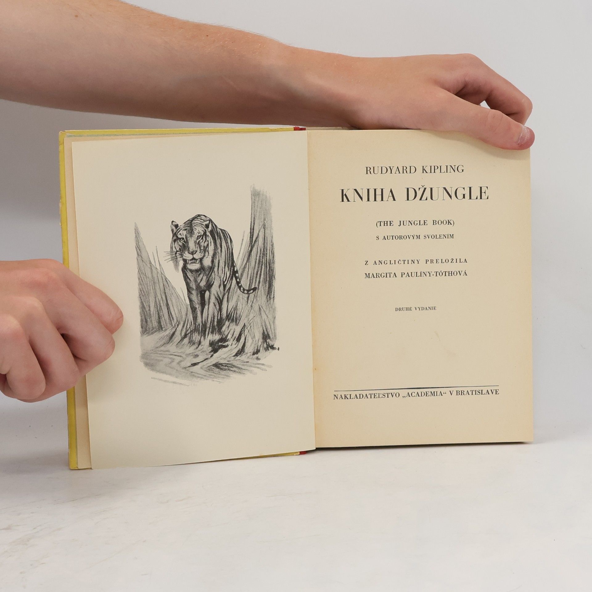 Rudyard Kipling Kniha džungle