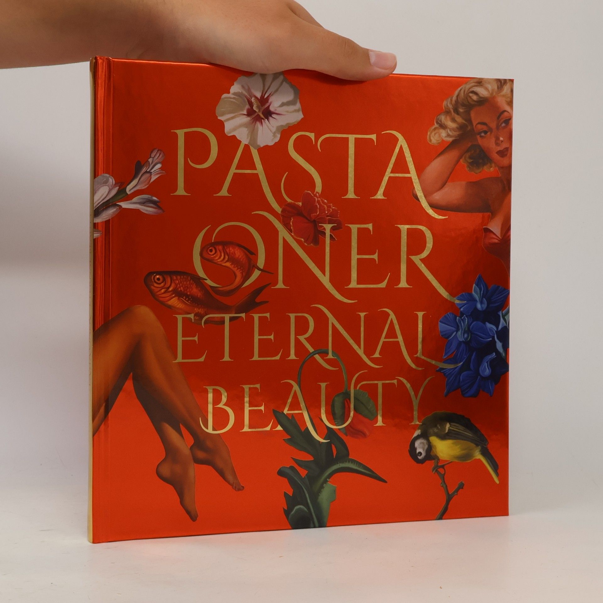 Autorenkollektiv Pasta Oner - Eternal Beauty