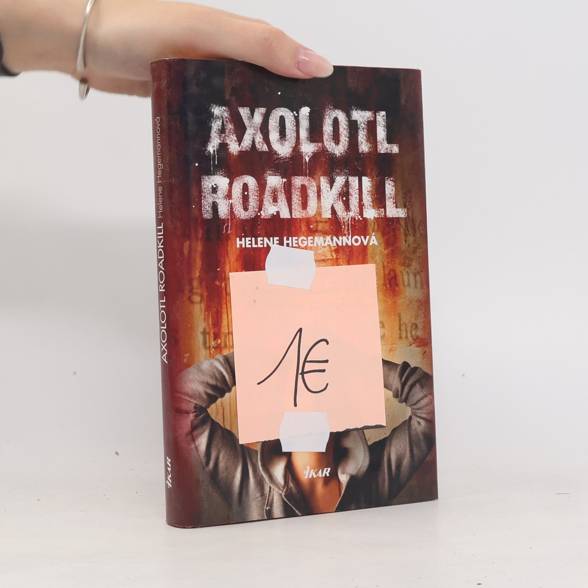 Helene Hegemann Axolotl Roadkill